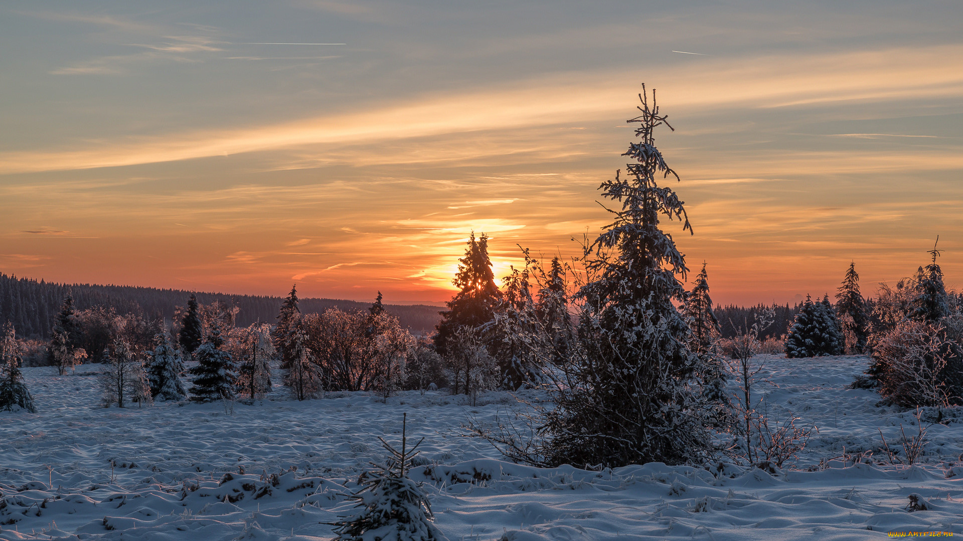 природа, зима, снег