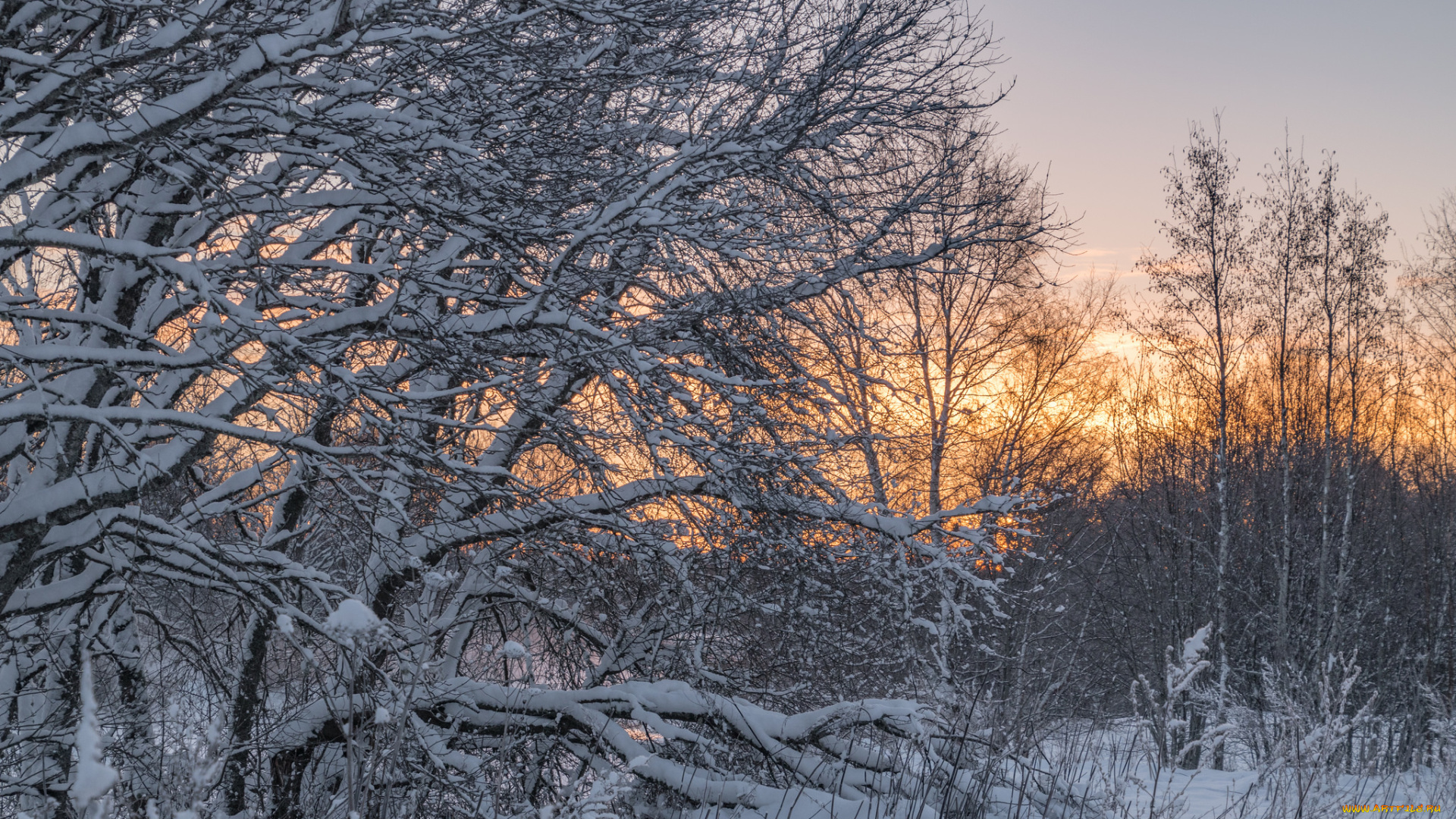 природа, зима, снег