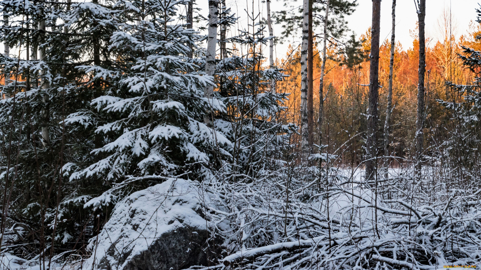 природа, зима, снег