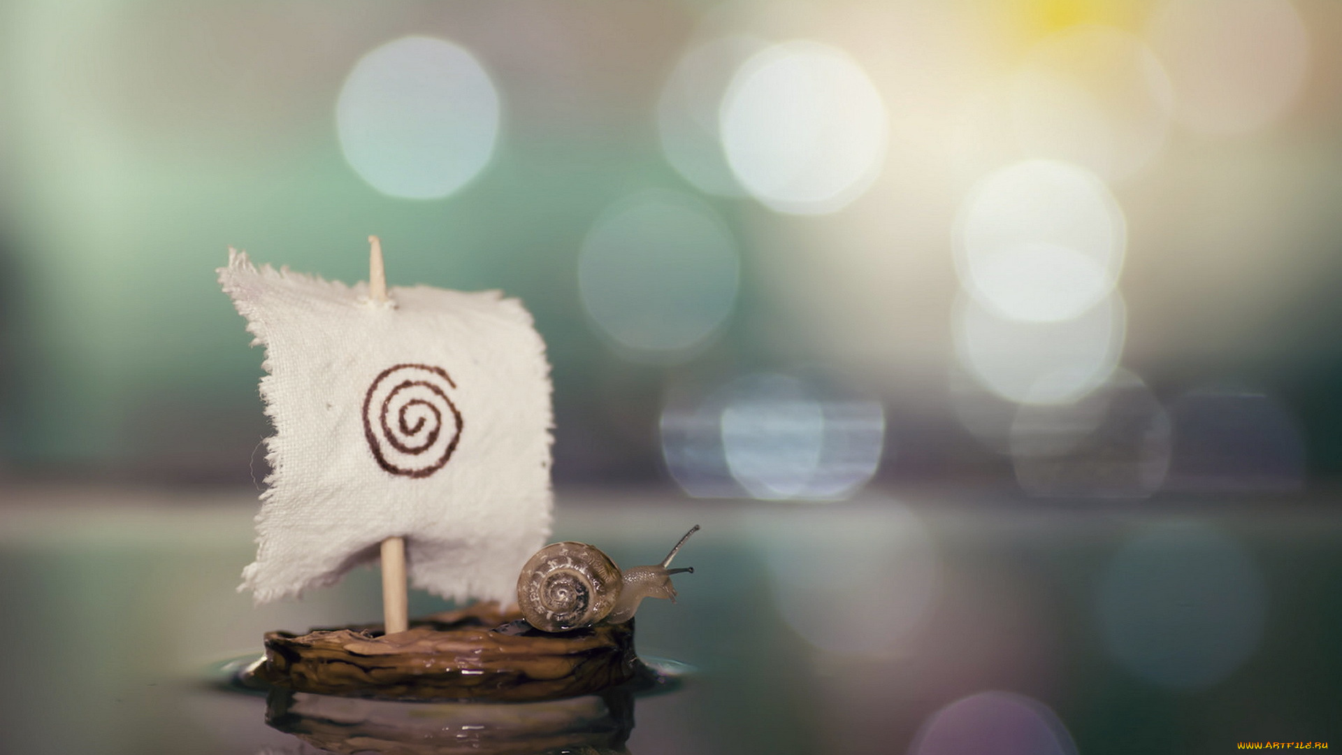 животные, улитки, улитка, парус, вода, корабль