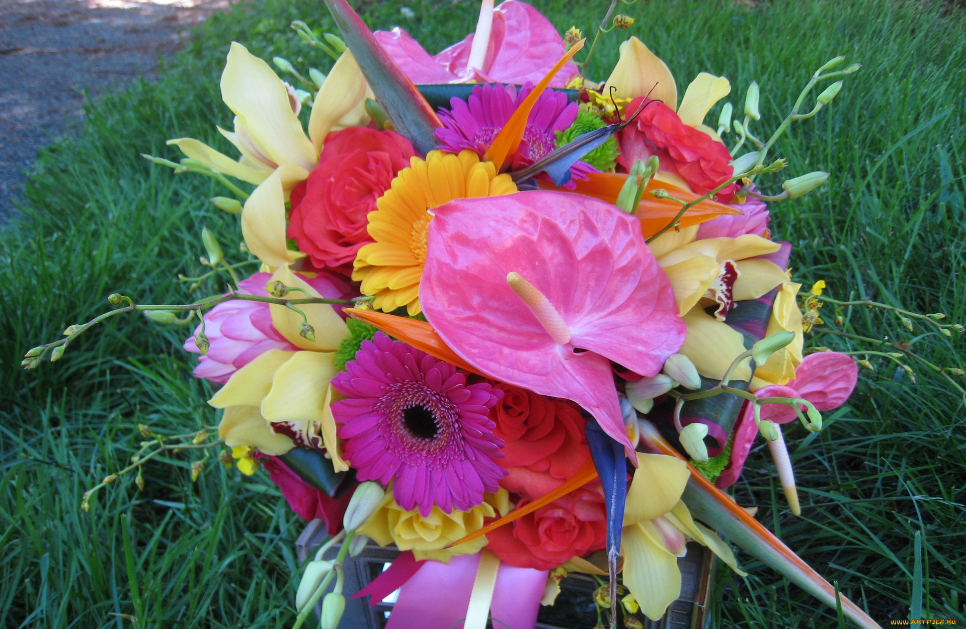 цветы, букеты, , композиции, трава, разноцветные