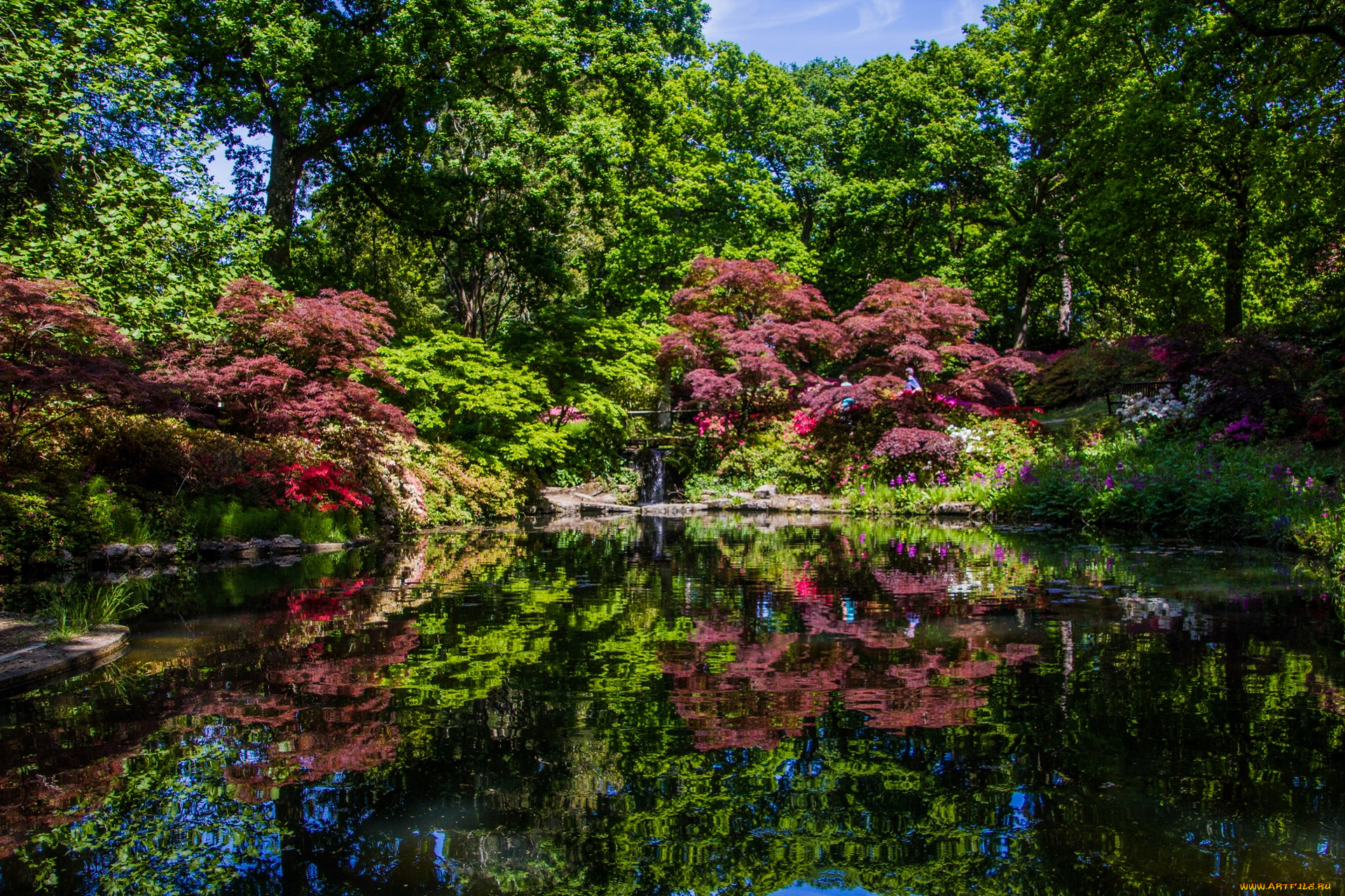 англия, природа, парк, деревья, водоем