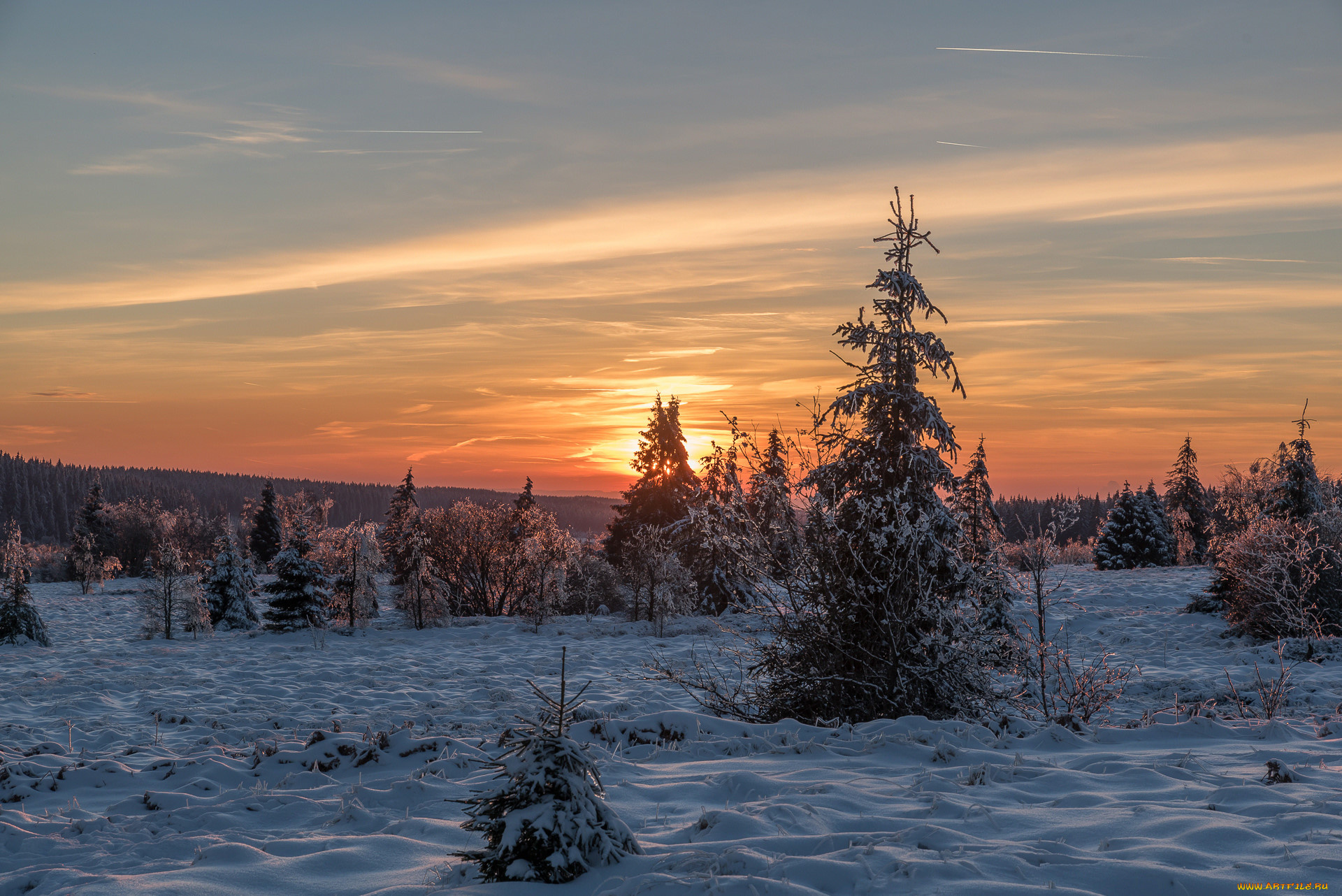 природа, зима, снег