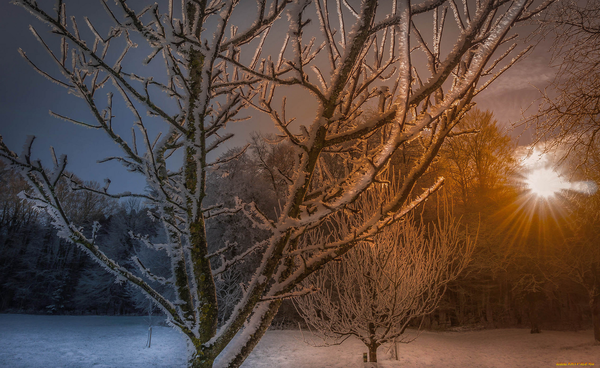 природа, зима, снег