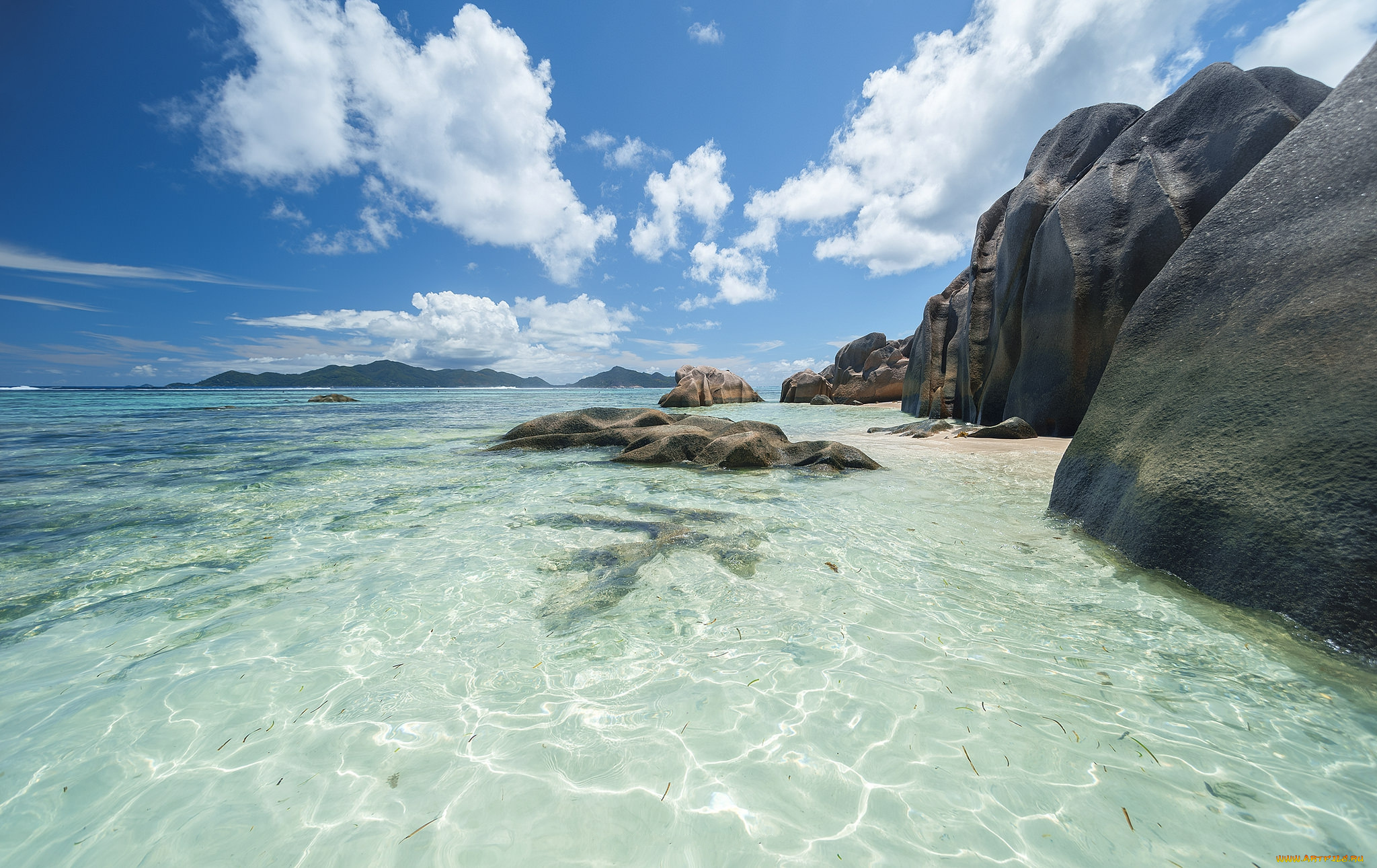 природа, тропики, курорт