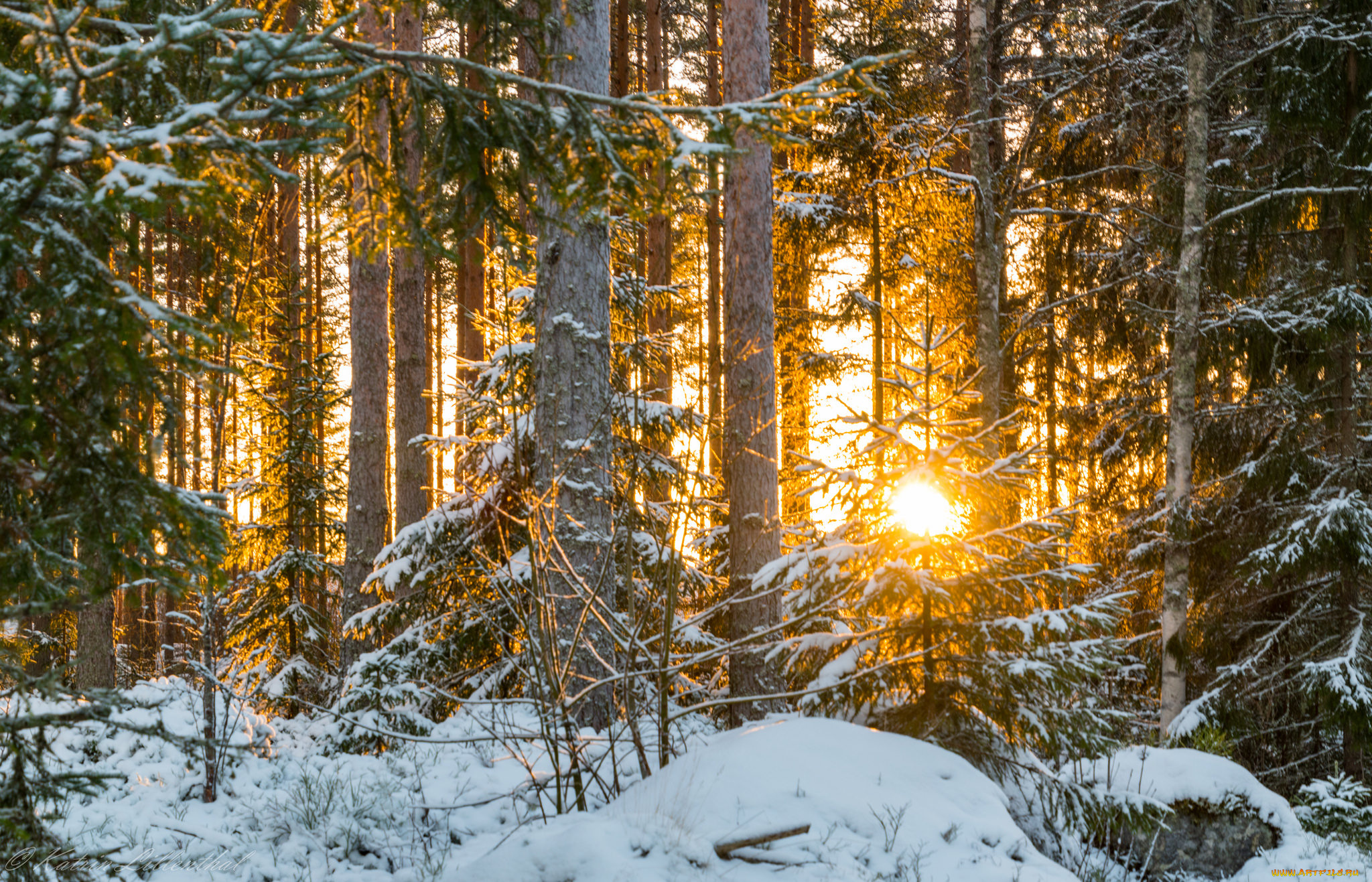 природа, зима, снег