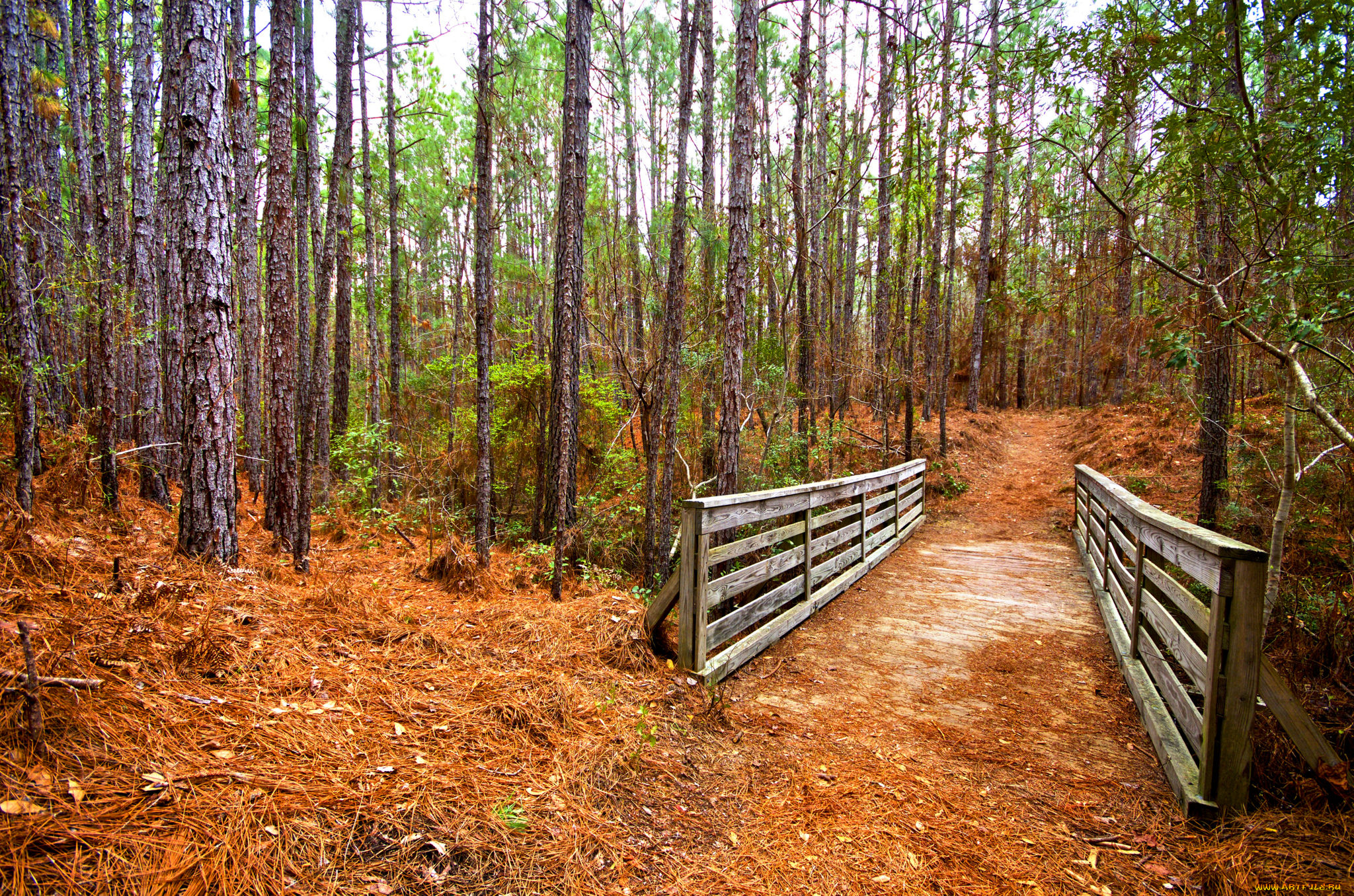 природа, дороги, тракт