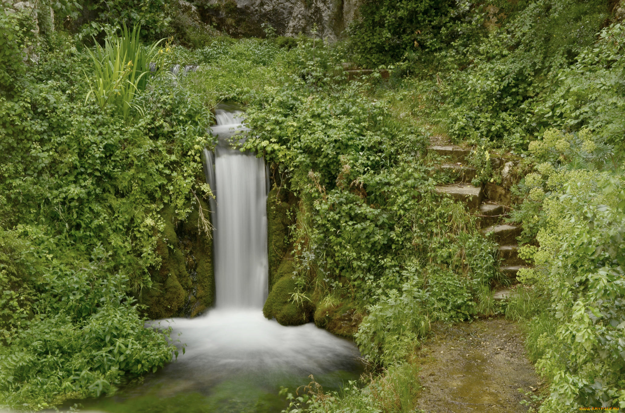 природа, водопады, лес, река, водопад