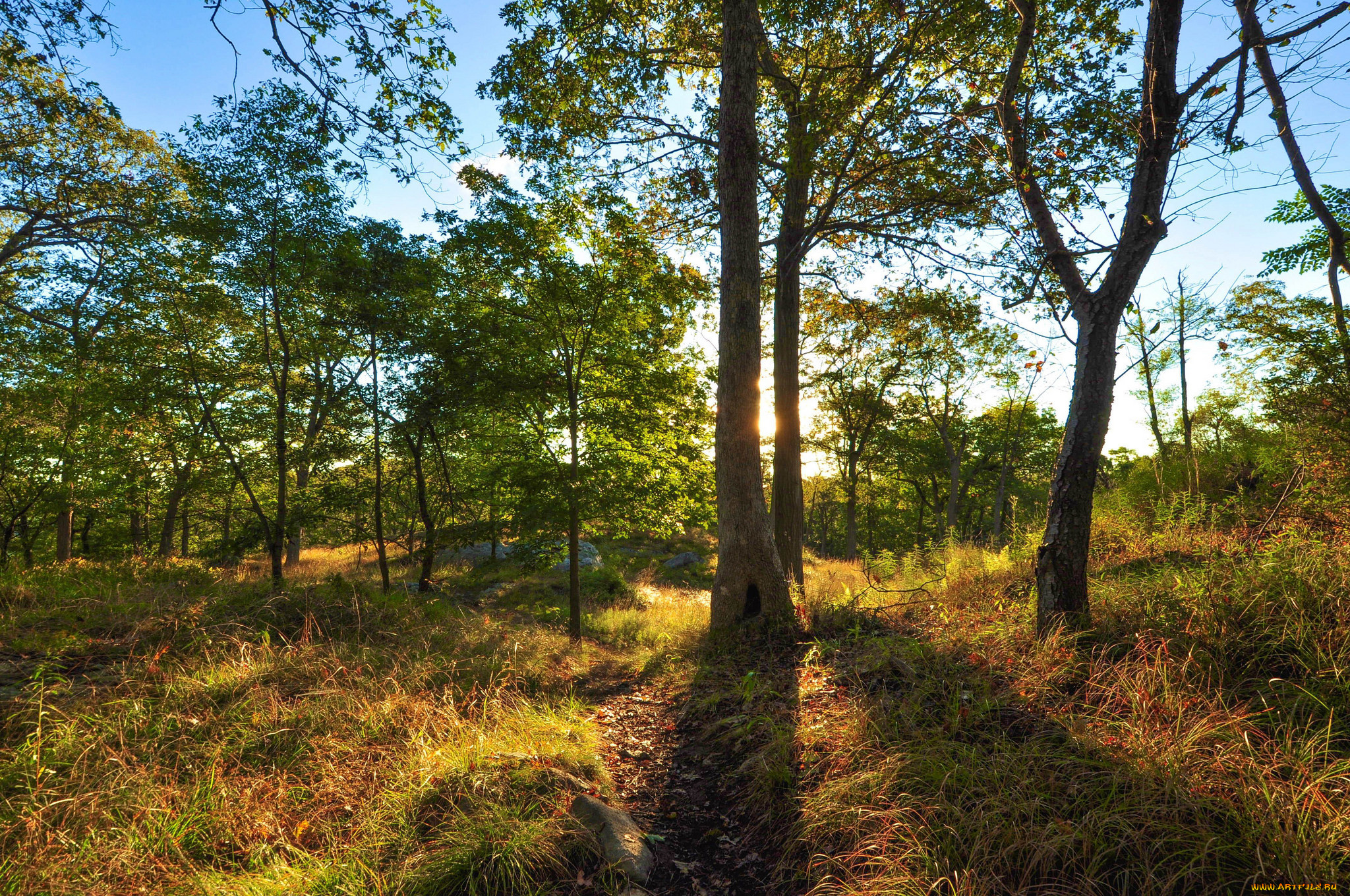 природа, восходы, закаты, рассвет
