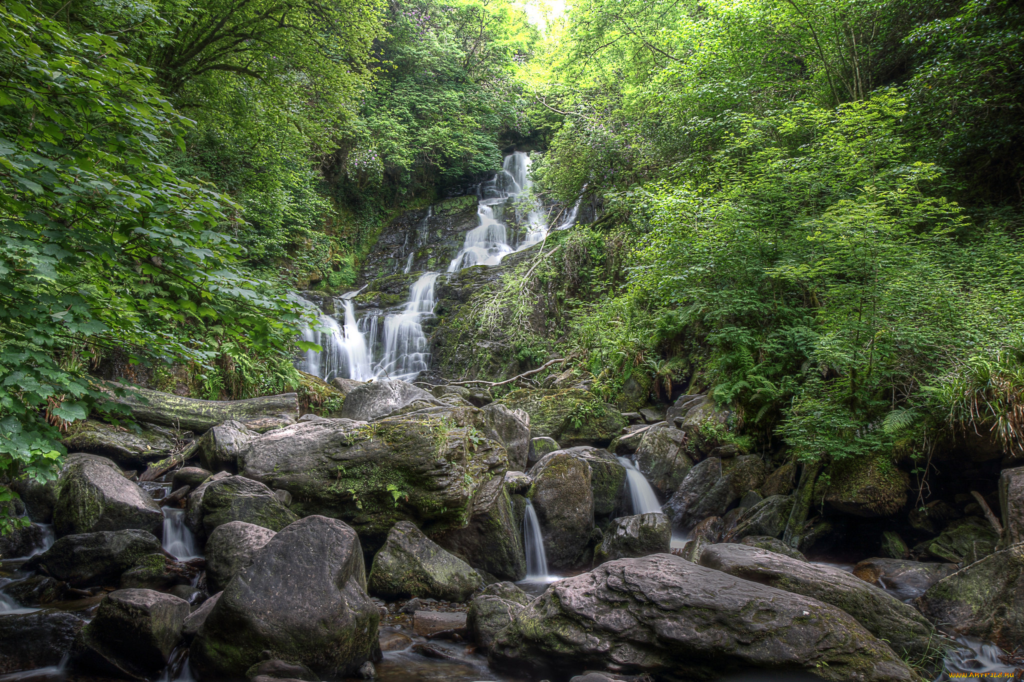 природа, водопады, река, водопад, лес