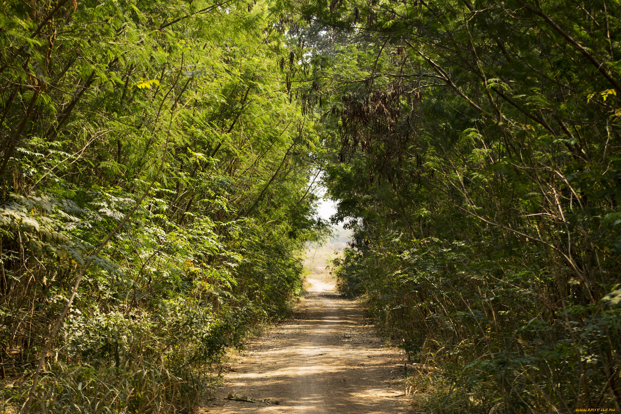 природа, дороги, тракт