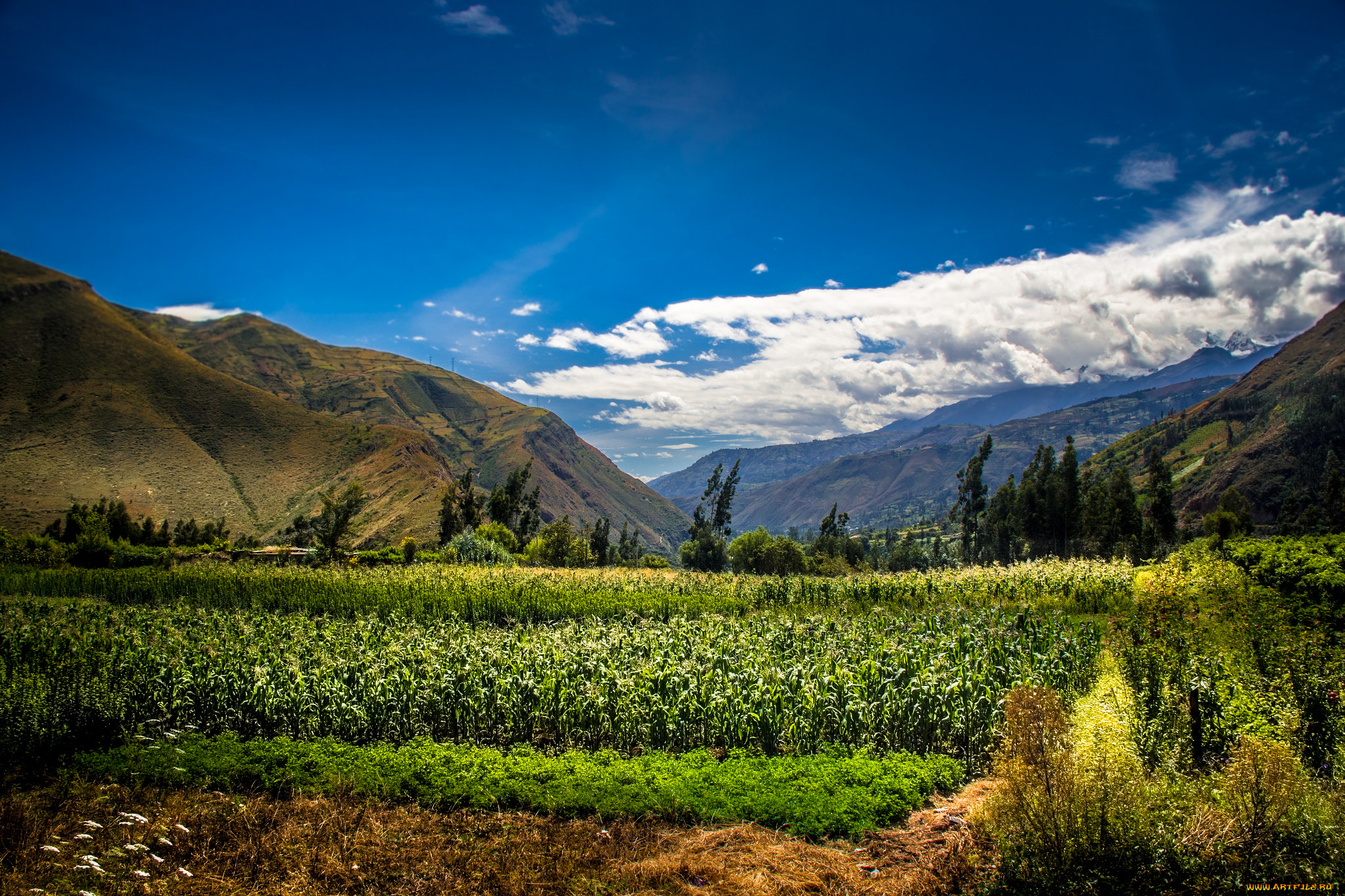 природа, горы, простор