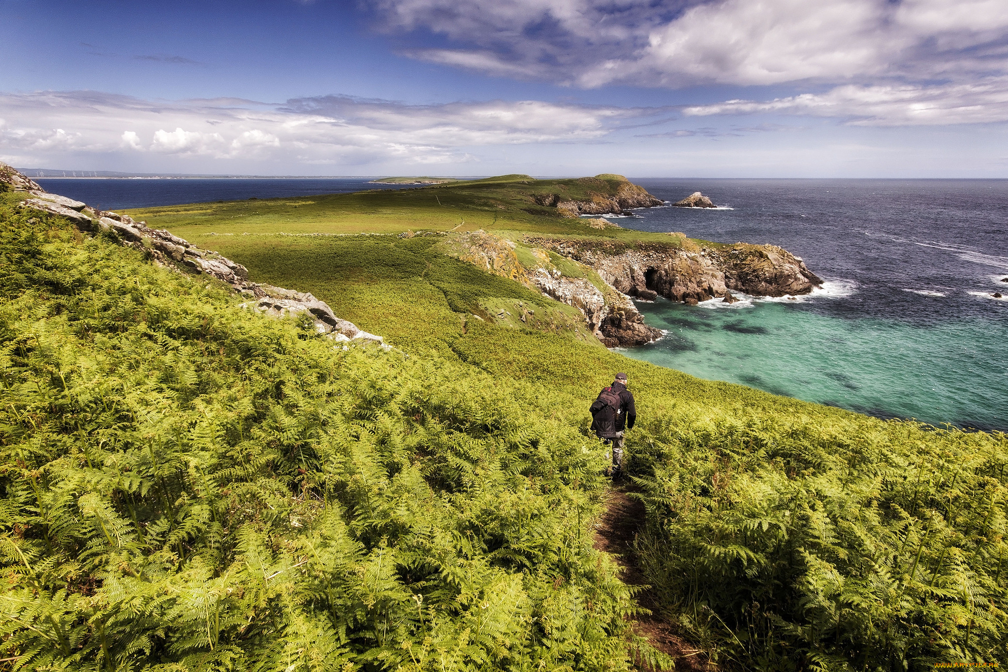 природа, побережье, берег, море