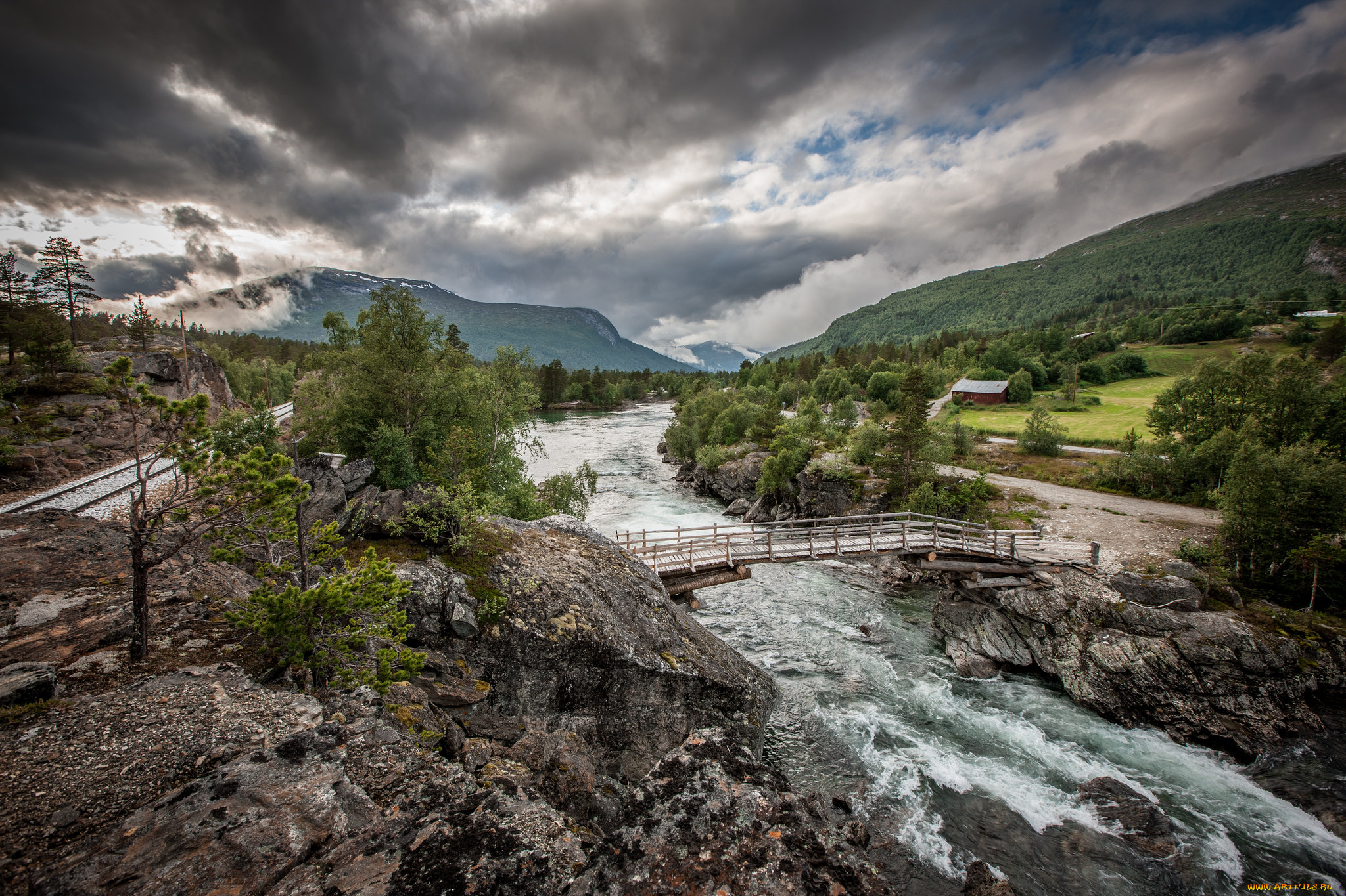 природа, реки, озера, река, лес