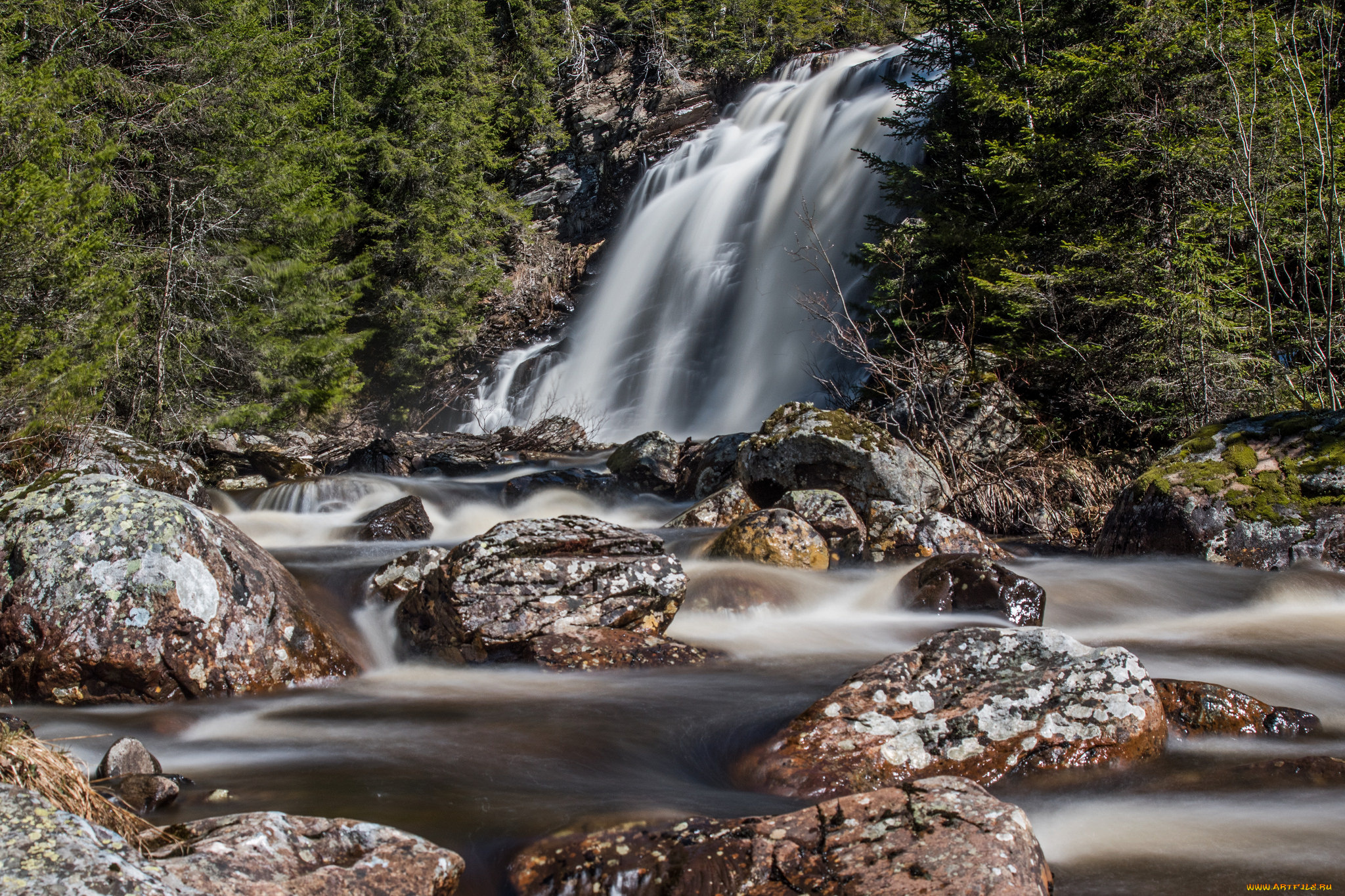природа, водопады, лес, река, водопад