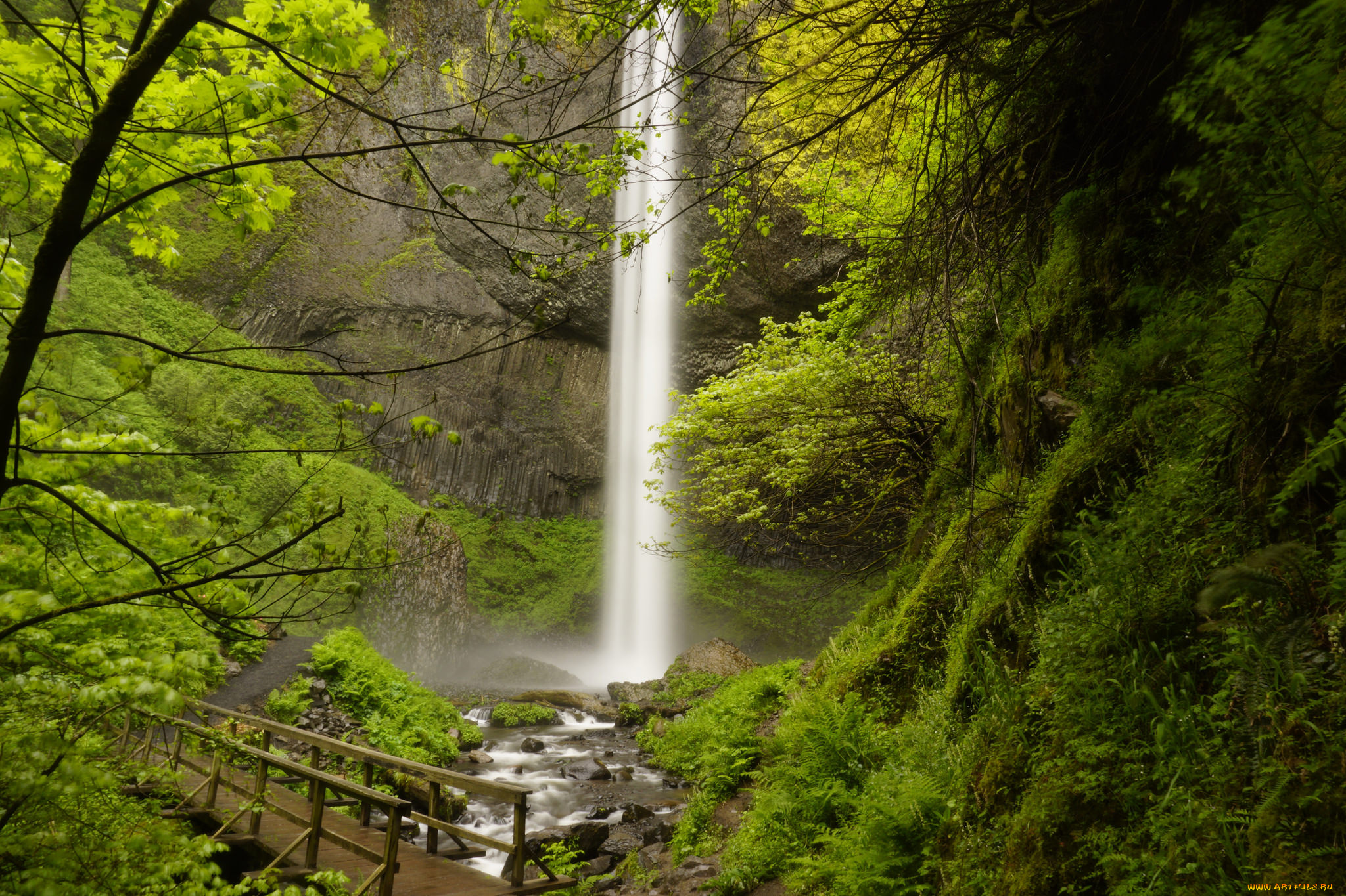 природа, водопады, лес, водопад, река