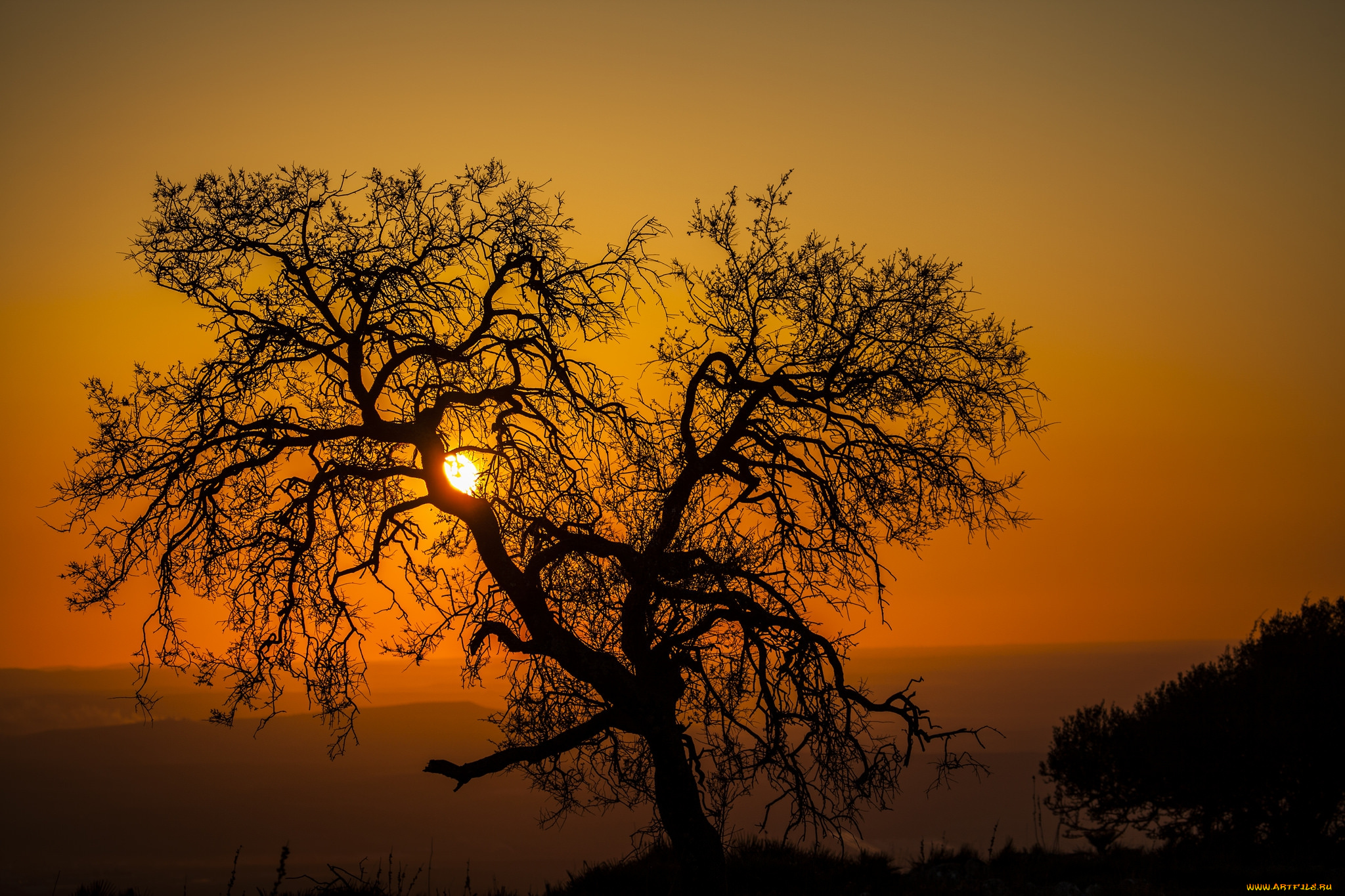 природа, восходы, закаты, рассвет