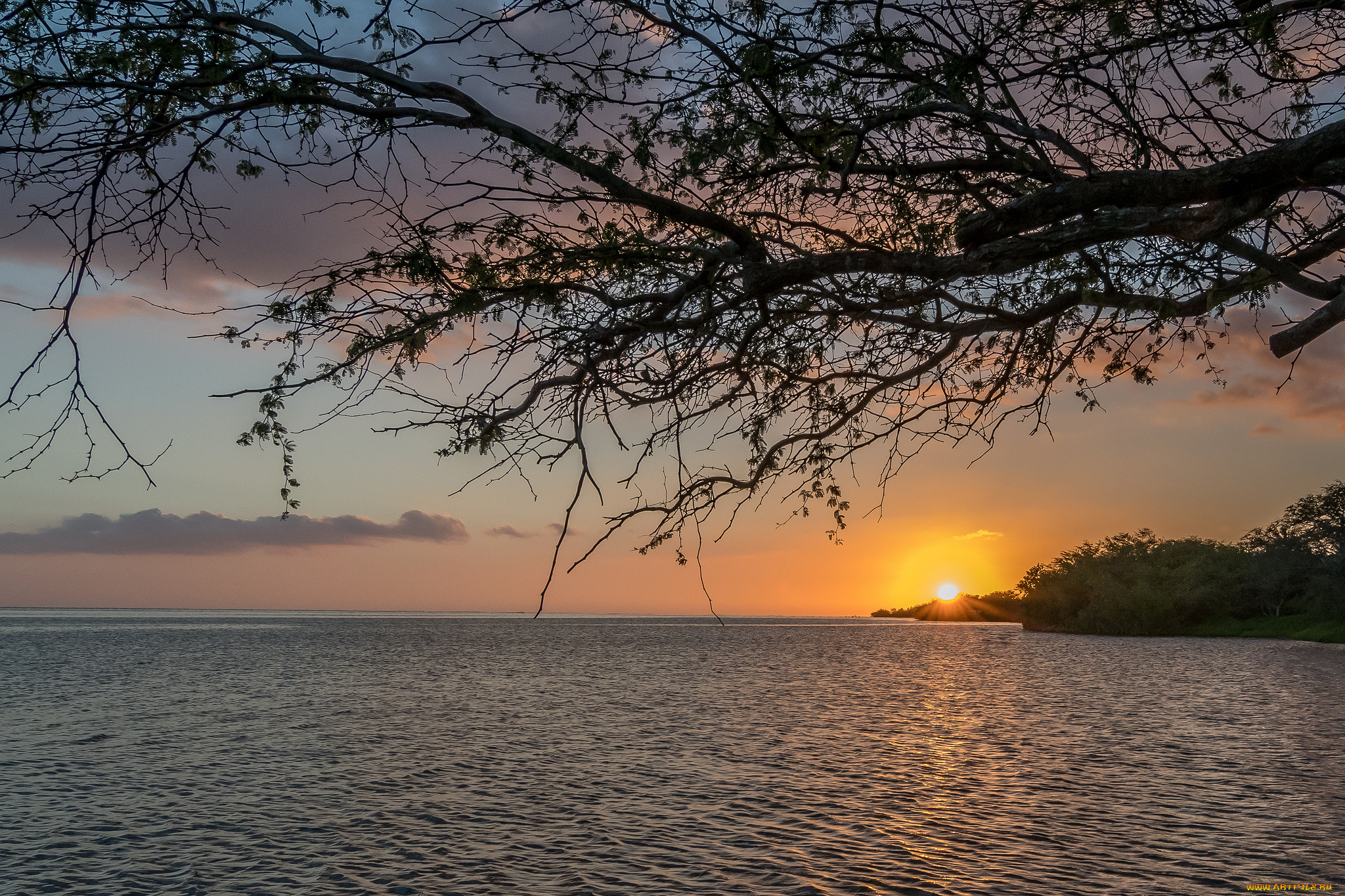 природа, восходы, закаты, рассвет