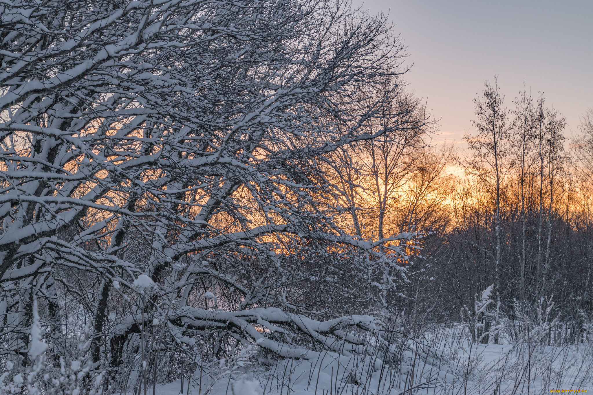 природа, зима, снег