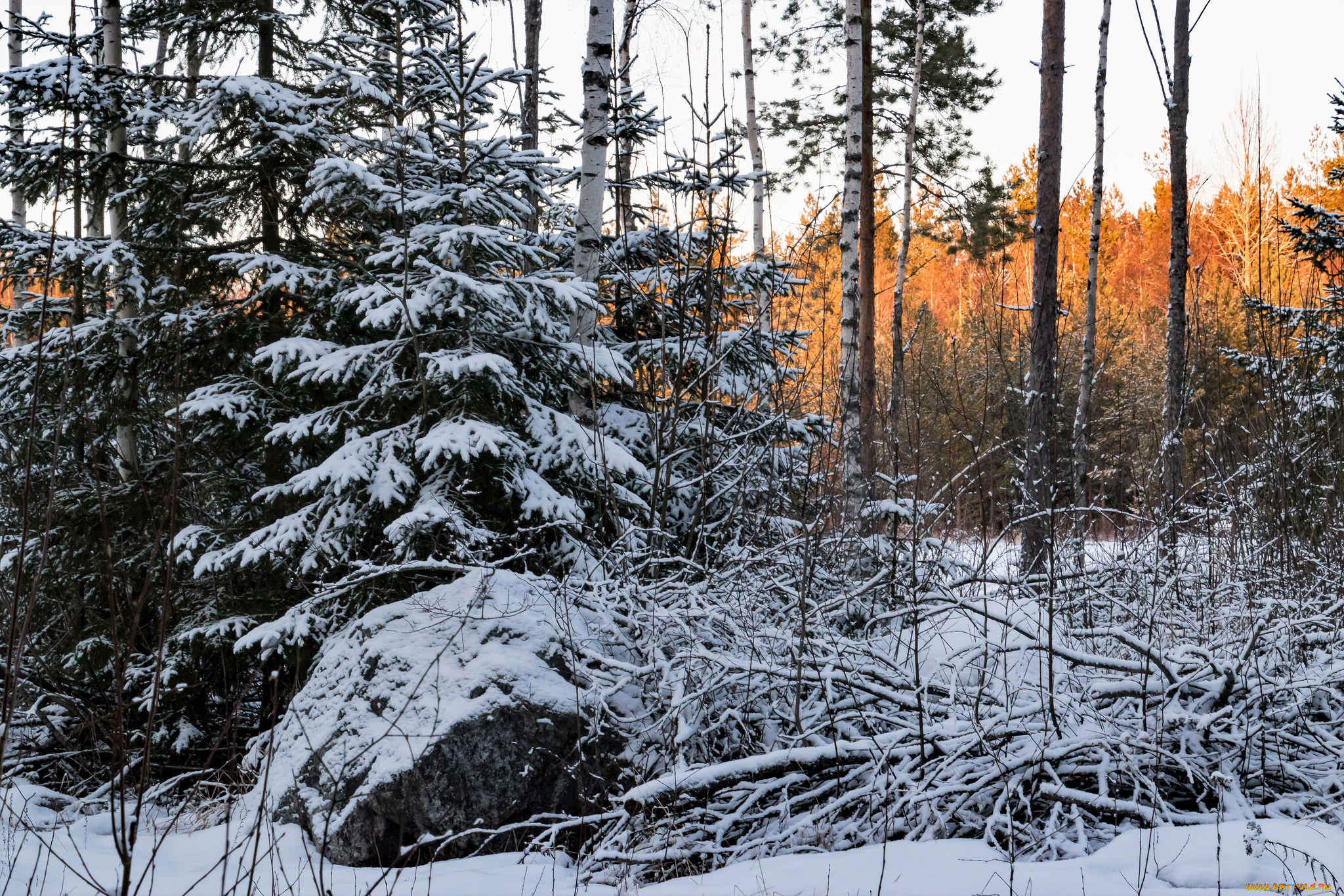 природа, зима, снег