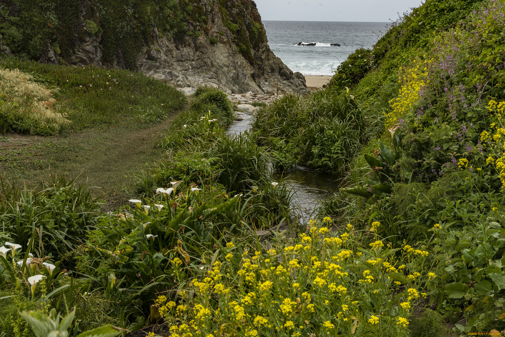 природа, побережье, берег, море