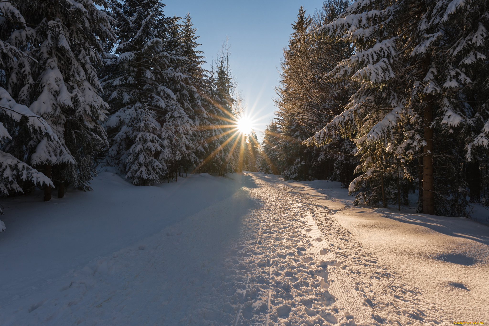 природа, зима, снег