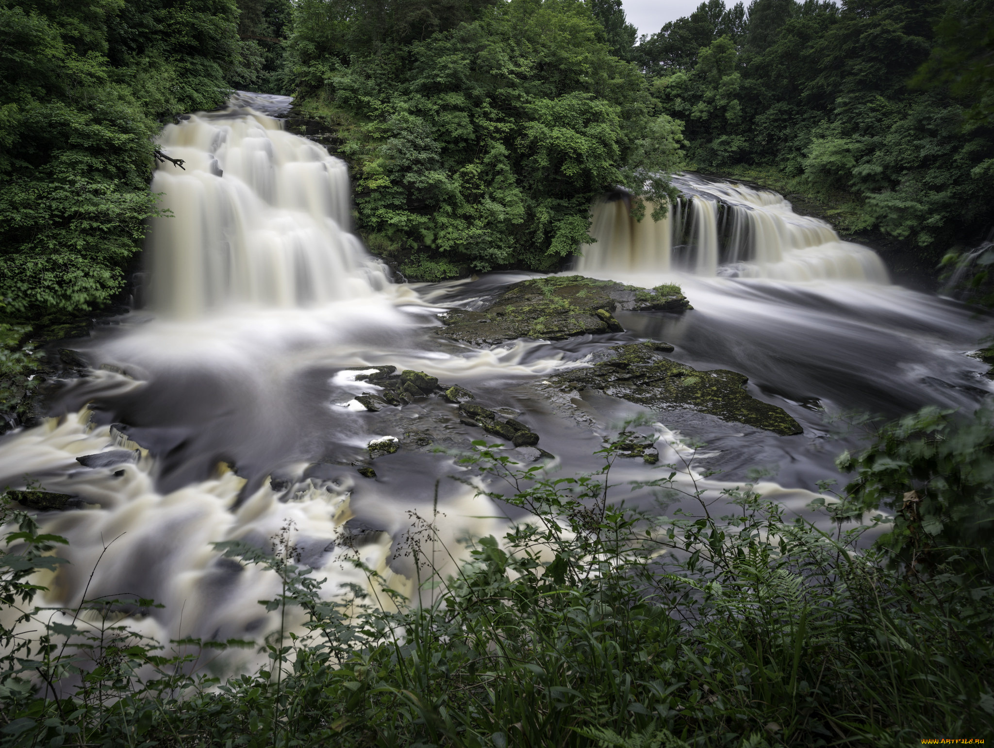 природа, водопады, водопад, река, лес