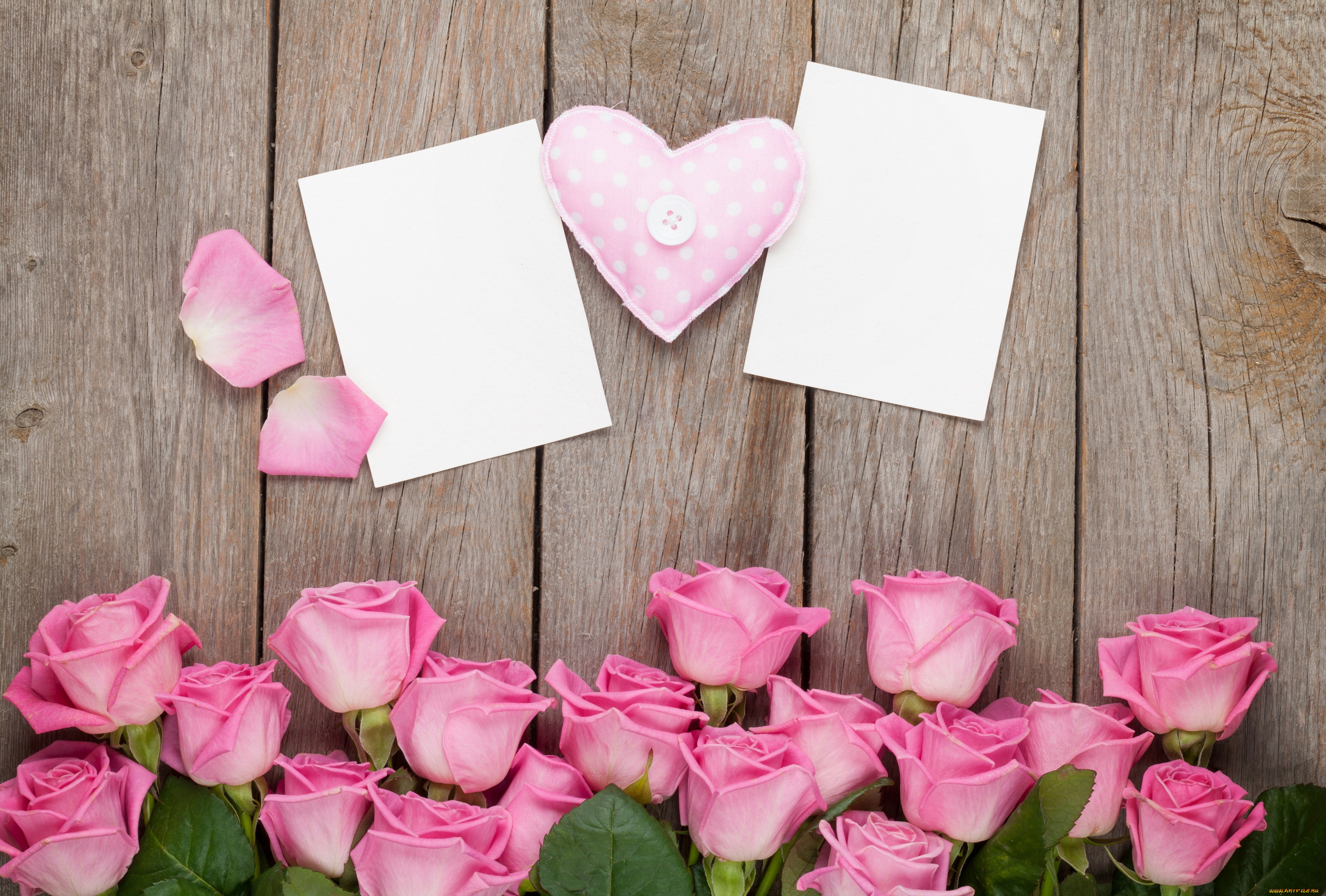 праздничные, день, святого, валентина, , сердечки, , любовь, сердце, розы, праздник, открытка