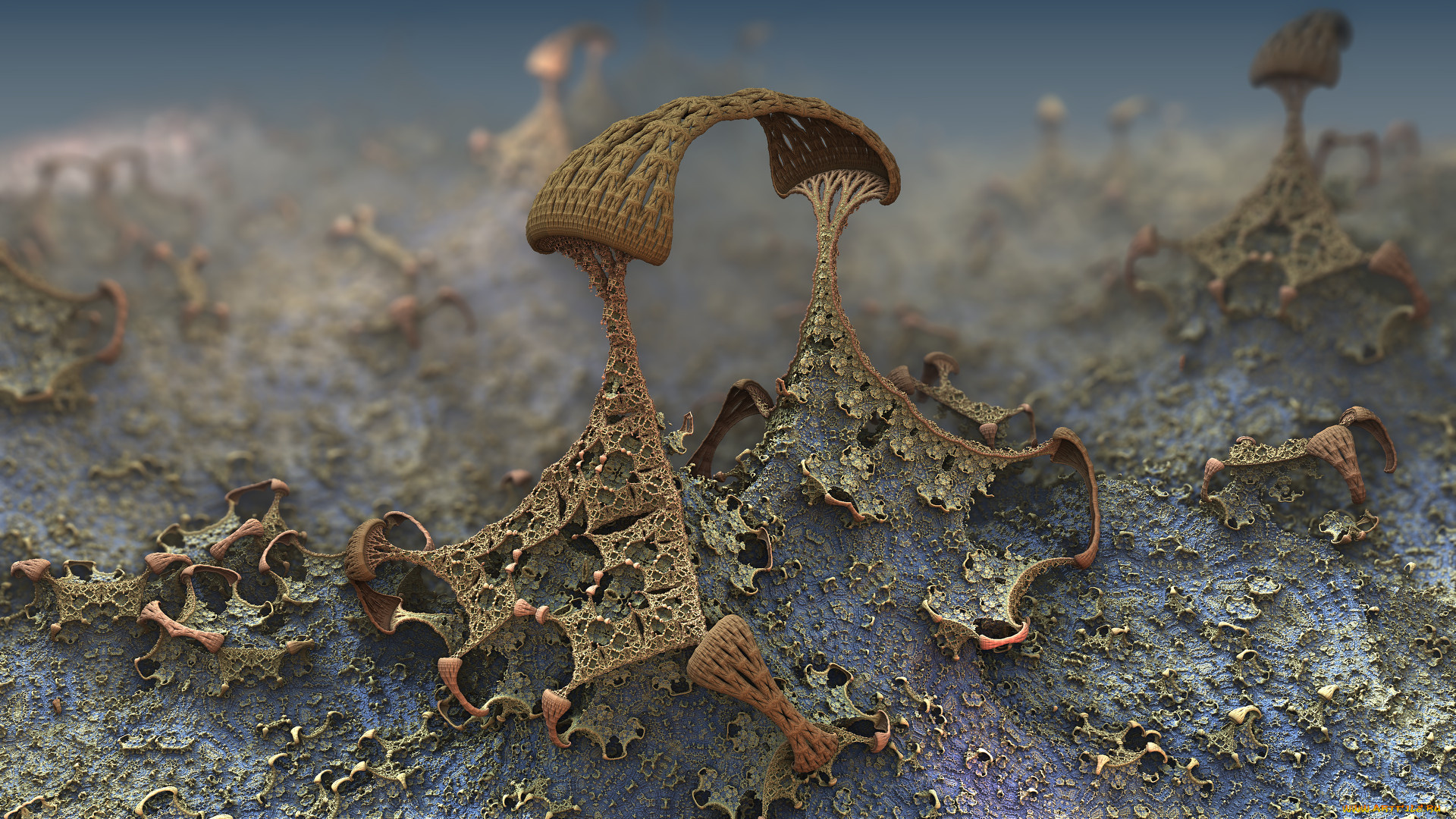 3д, графика, абстракция, , abstract, цвет, фон, узор