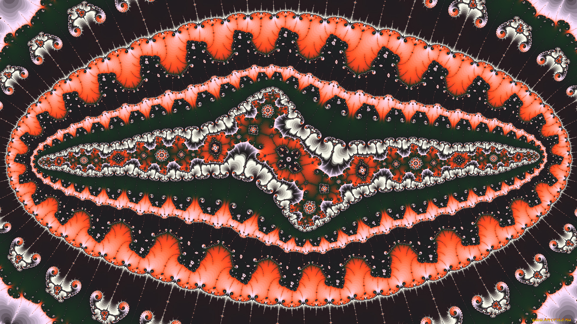 3д, графика, фракталы, , fractal, цвет, фон, узор