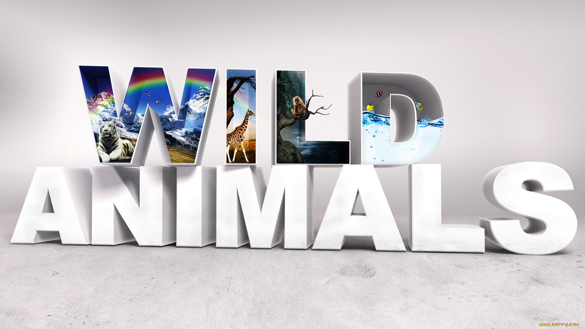 3д, графика, другое, , other, буквы, животные, природа