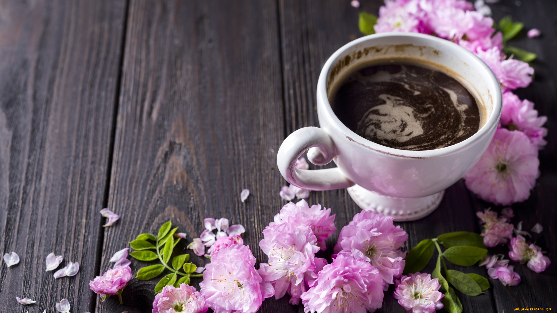 еда, кофе, , кофейные, зёрна, чашка, цветы