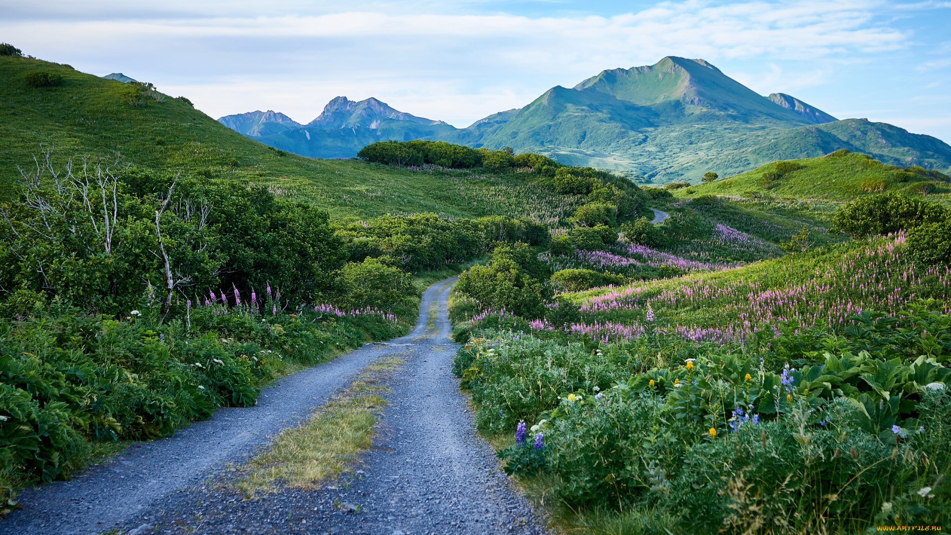 природа, дороги, дорога, проселочная