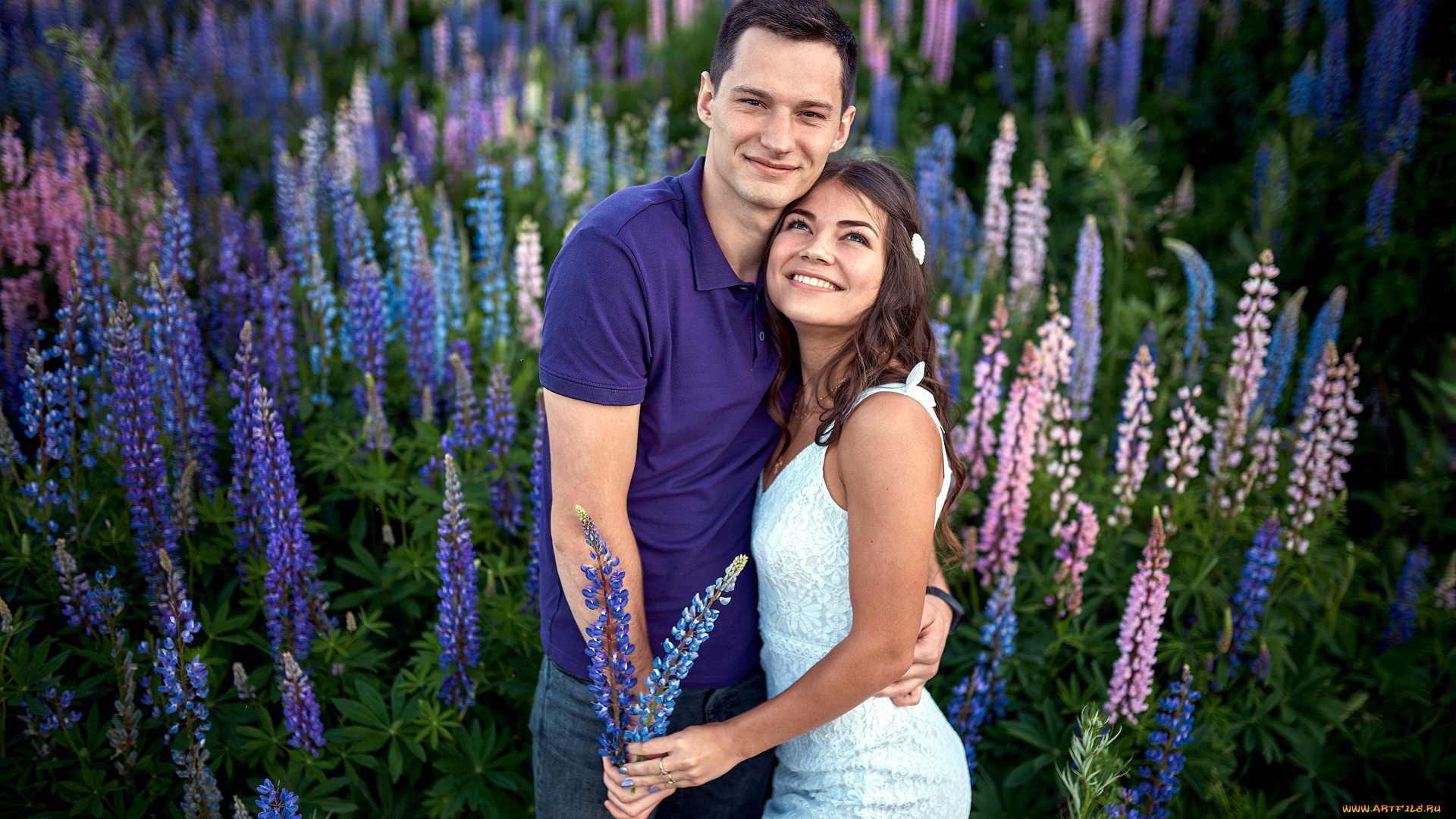 разное, мужчина, женщина, луг, влюбленные, люпин