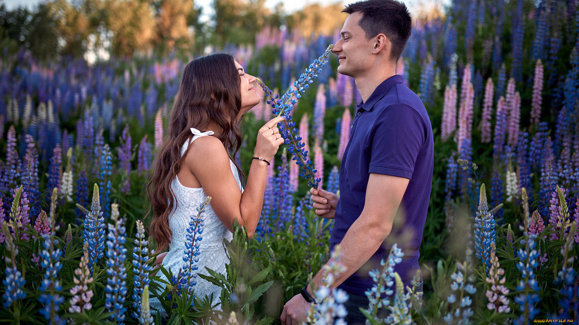 разное, мужчина, женщина, луг, влюбленные, люпин