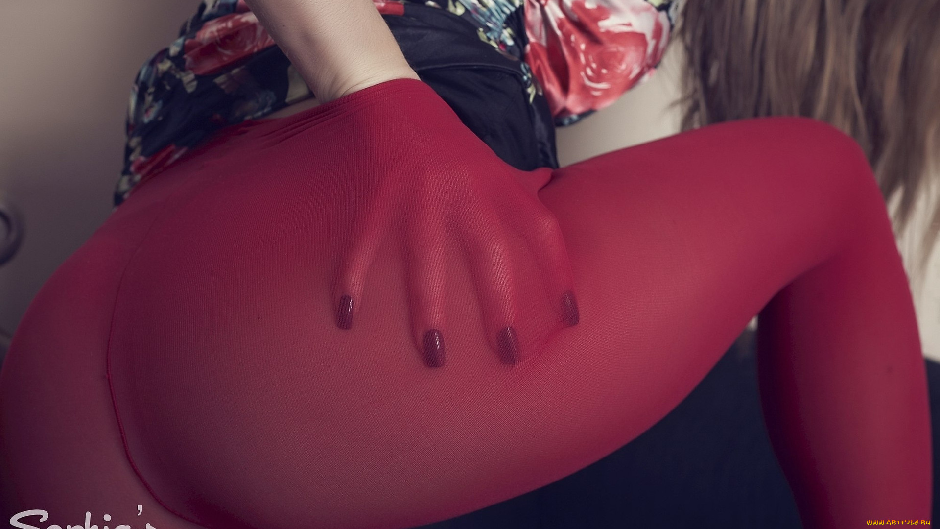 sophia, smith, девушки, -, женские, прелести, девушка, красивая, супер, секси, няша, нежная, классная, модница, лапочка, мадам