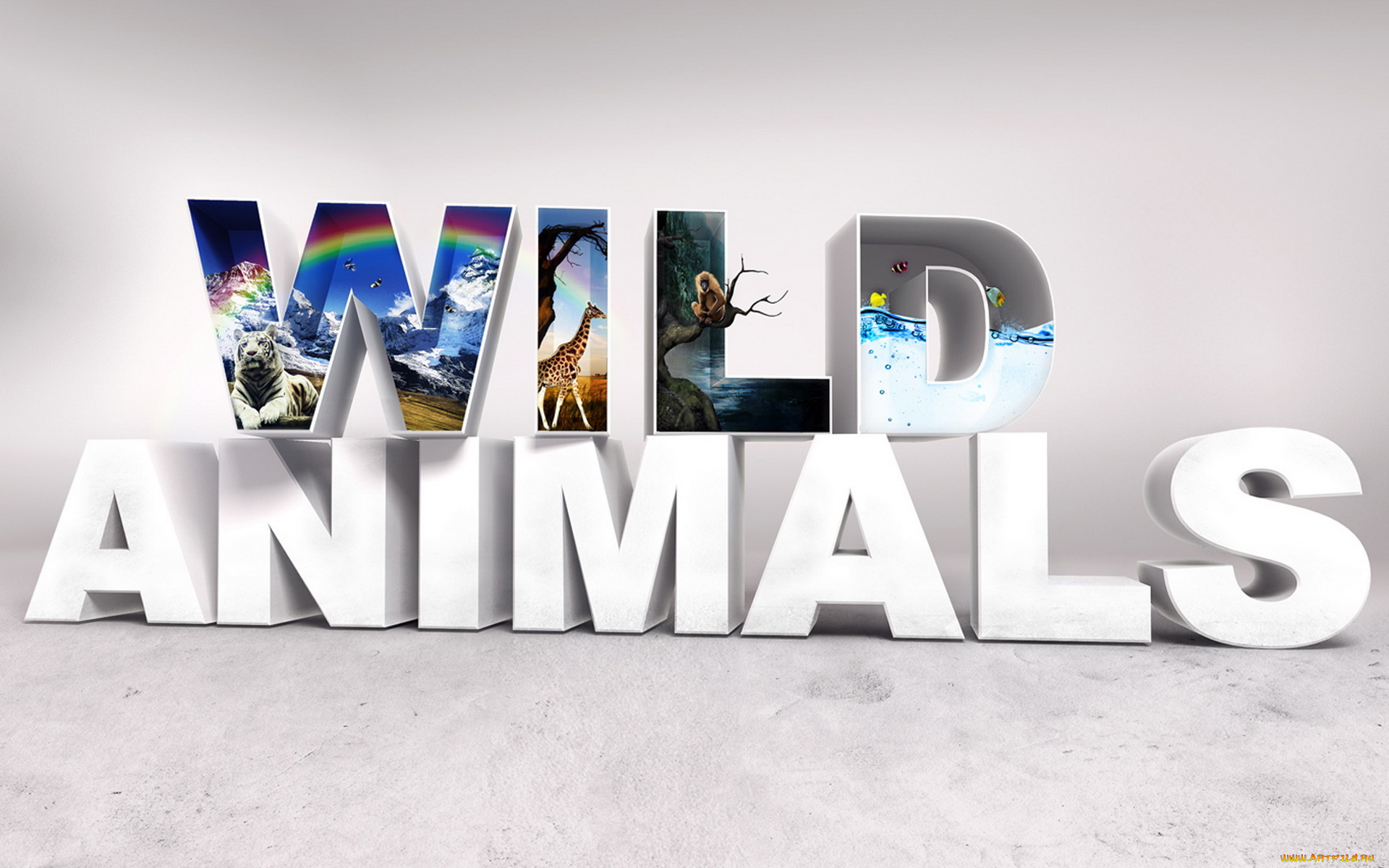 3д, графика, другое, , other, буквы, животные, природа