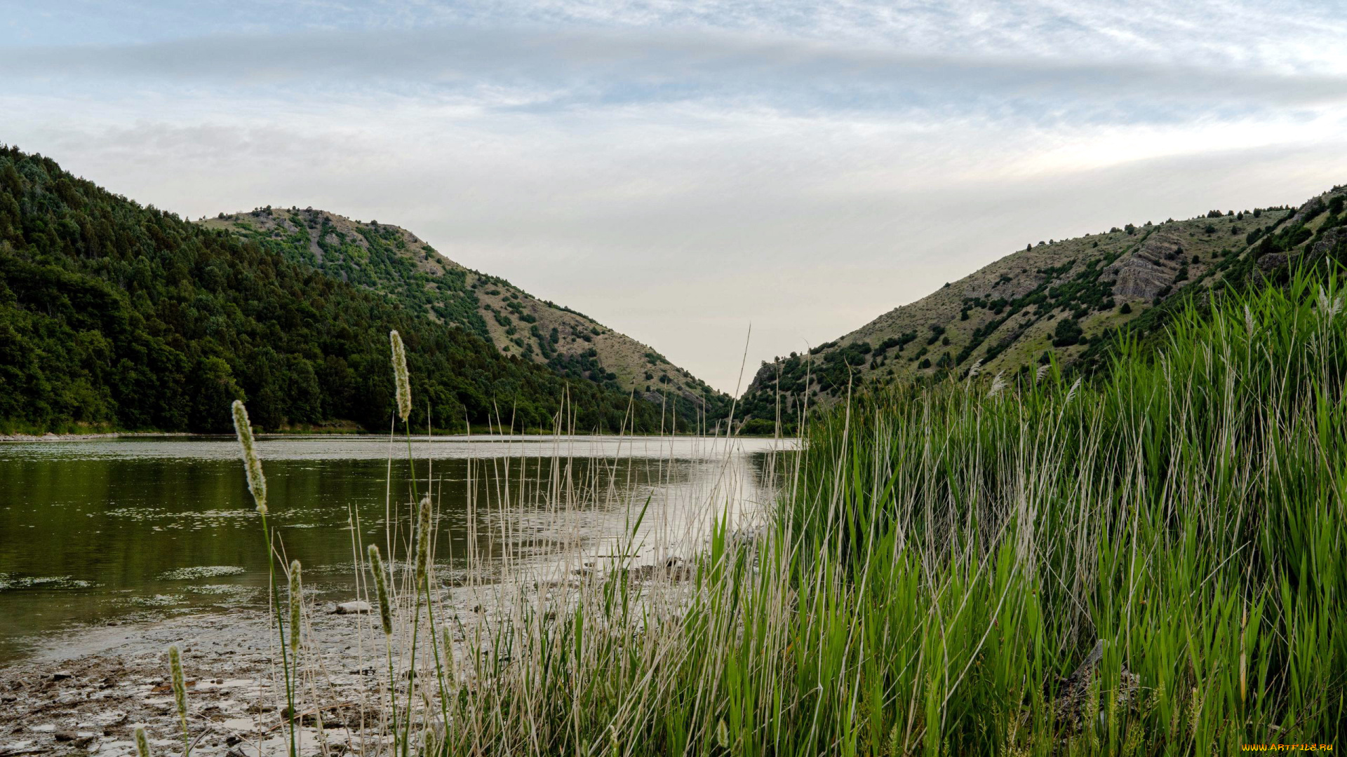 природа, реки, озера, горы, река