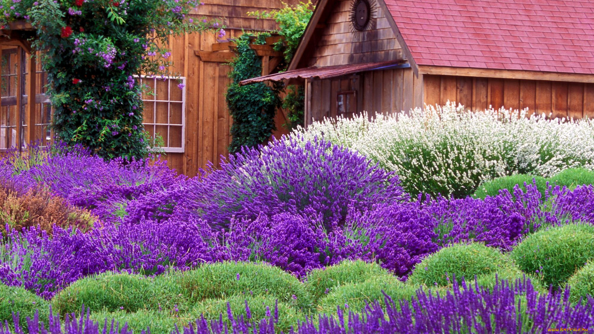 города, -, здания, , дома, дом, сад