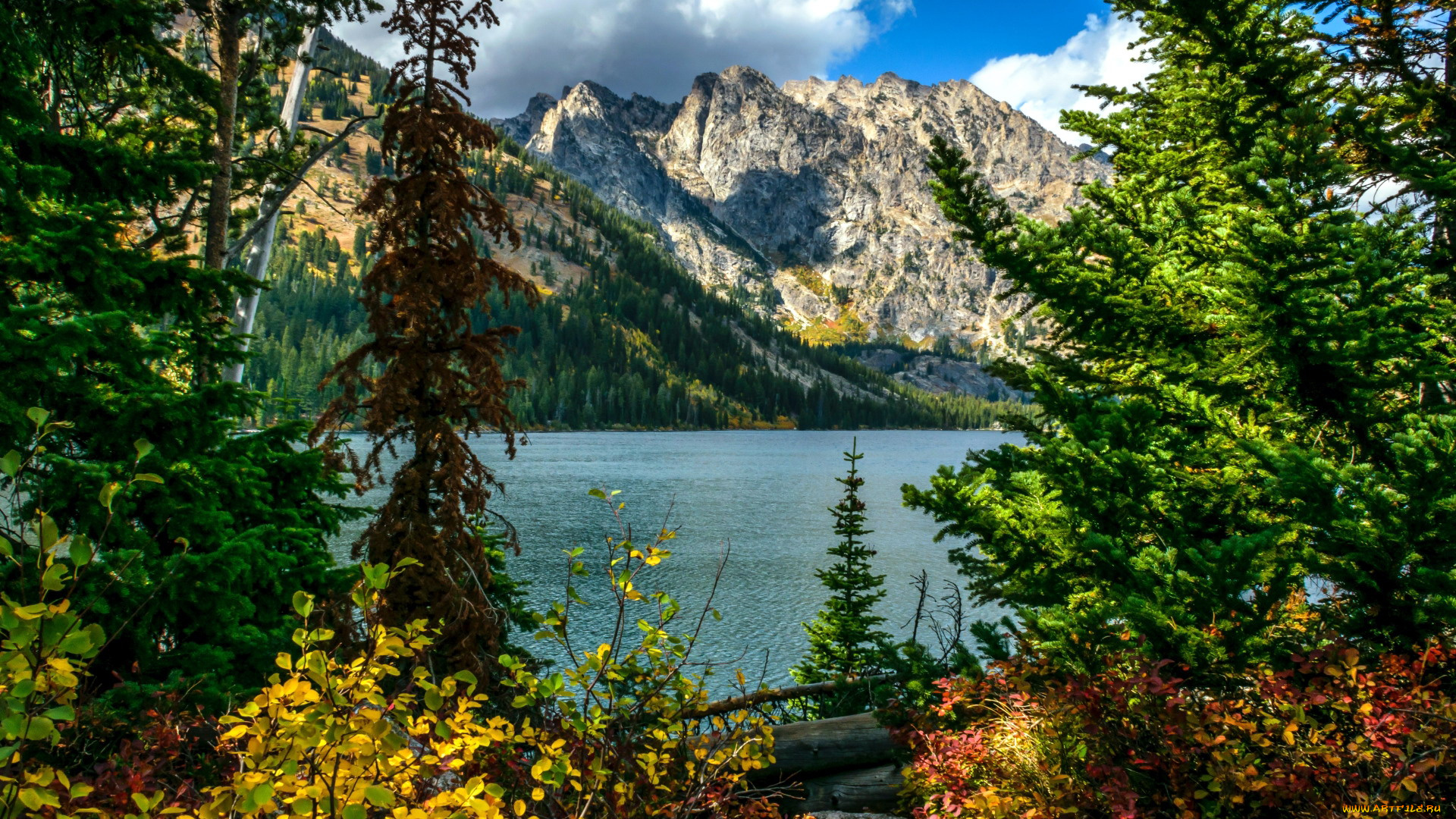 jenny, lake, grand, tetons, wyoming, природа, реки, озера, jenny, lake, grand, tetons