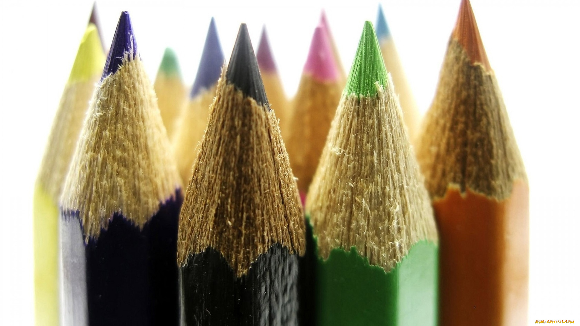 разное, канцелярия, , книги, карандаши, цвета