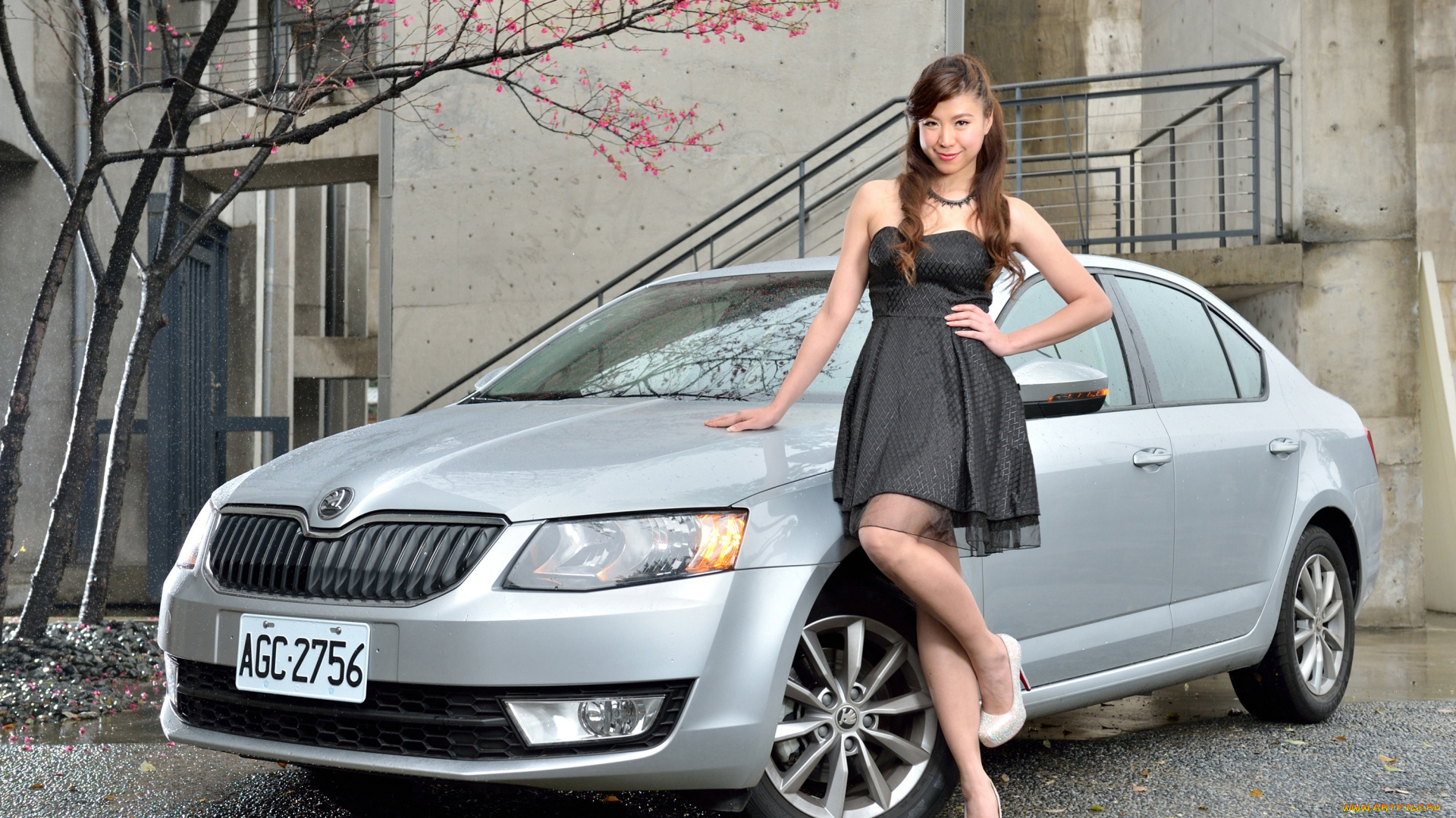 автомобили, -авто, с, девушками, девушка