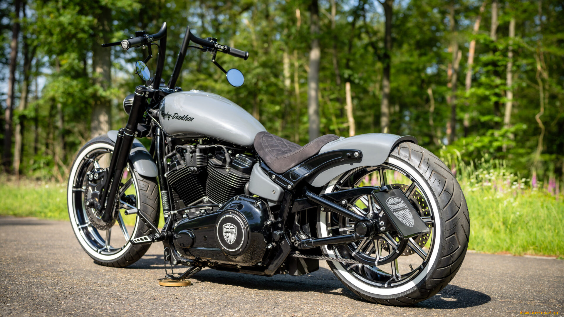 мотоциклы, harley-davidson, softail, street, bob, radical, rider, customized, custombikes