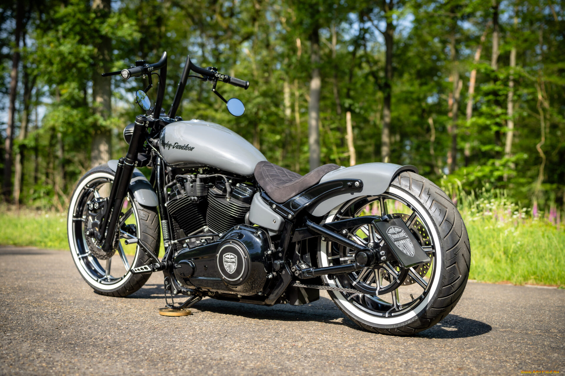 мотоциклы, harley-davidson, softail, street, bob, radical, rider, customized, custombikes