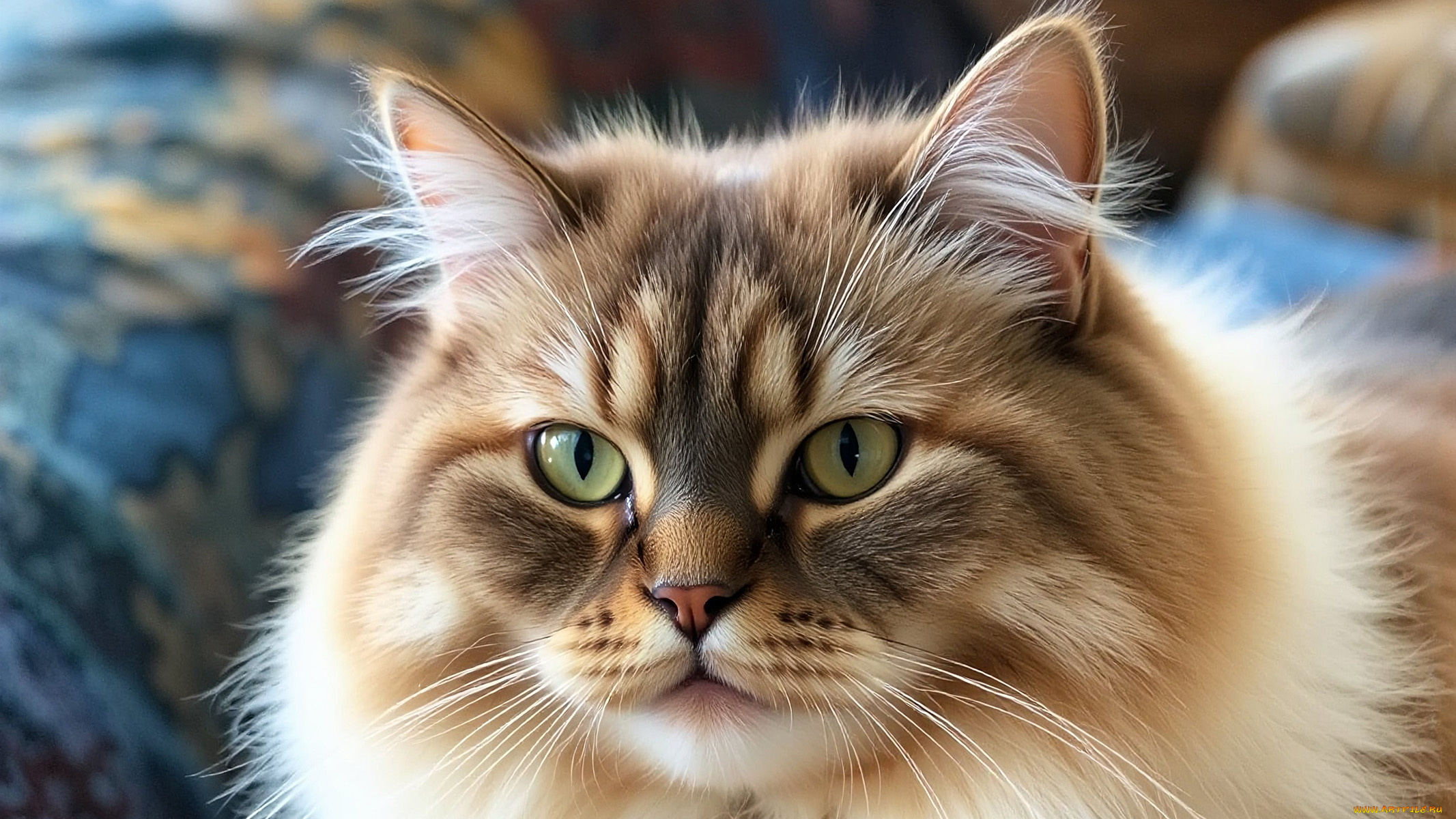 разное, компьютерный, дизайн, нейросети, графика, нейроарт, ai, art, нейронные, сети, рисунки, нейро, искусство, нейрографика, graphics, neuroart, neural, networks, drawings, neuro, neurography