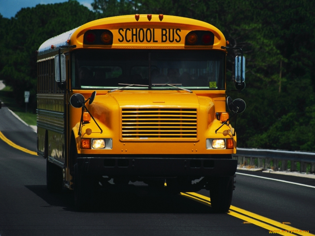 автомобили, автобусы