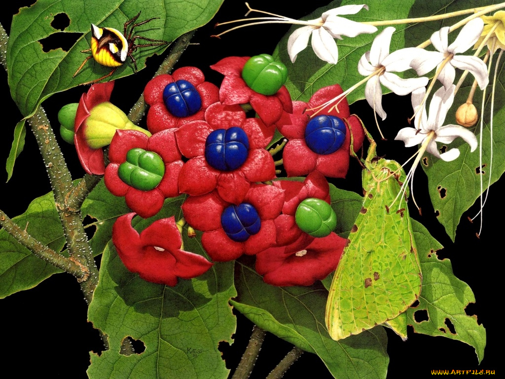 рисованные, цветы