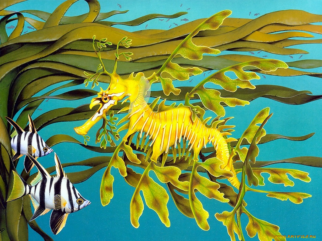 рисованные, животные, морской, конек, рыба