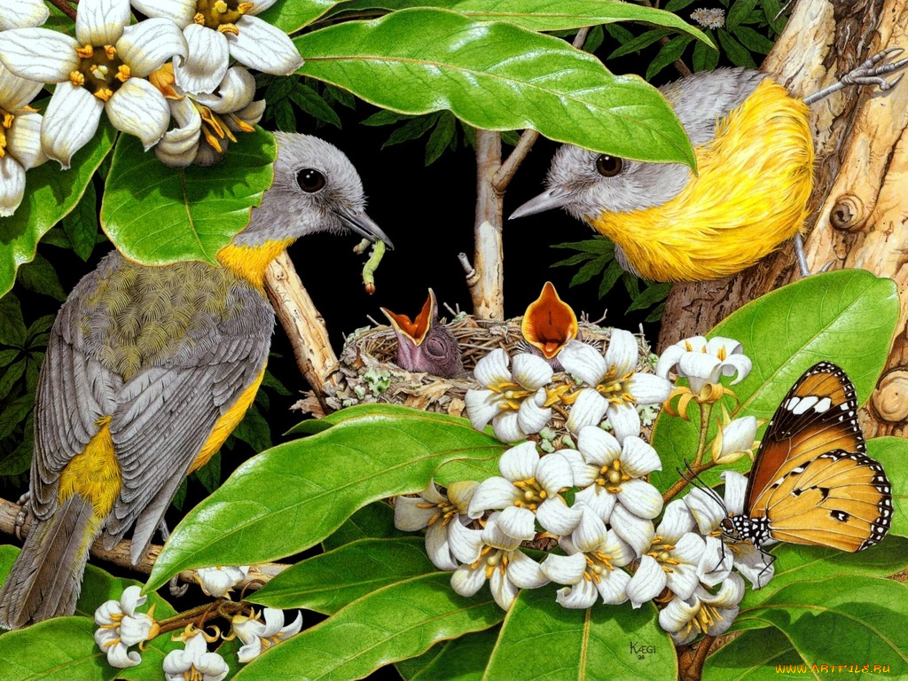 рисованные, животные, птица, птенец, бабочка