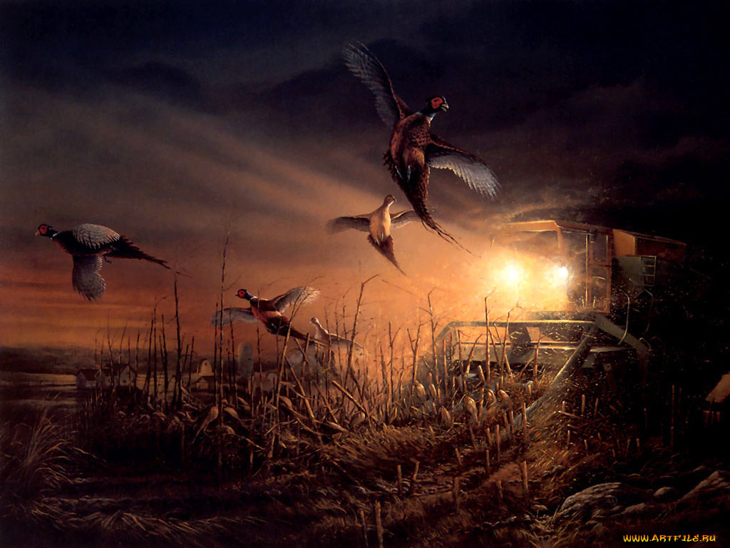 рисованные, животные, птицы, утки